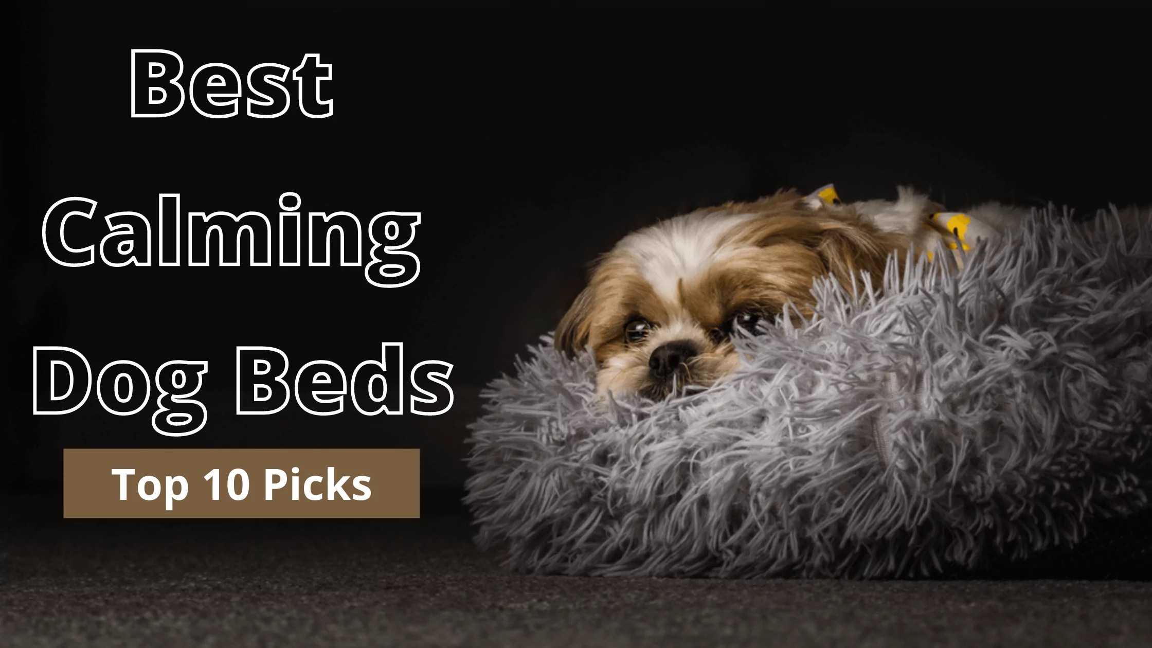 Top 5 Picks of Best Dog Beds For Jeep Wranglers 2022