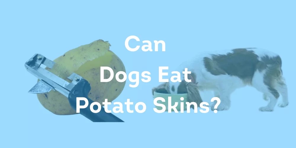 Can Dogs Eat Potato Skins? Things You Should Know