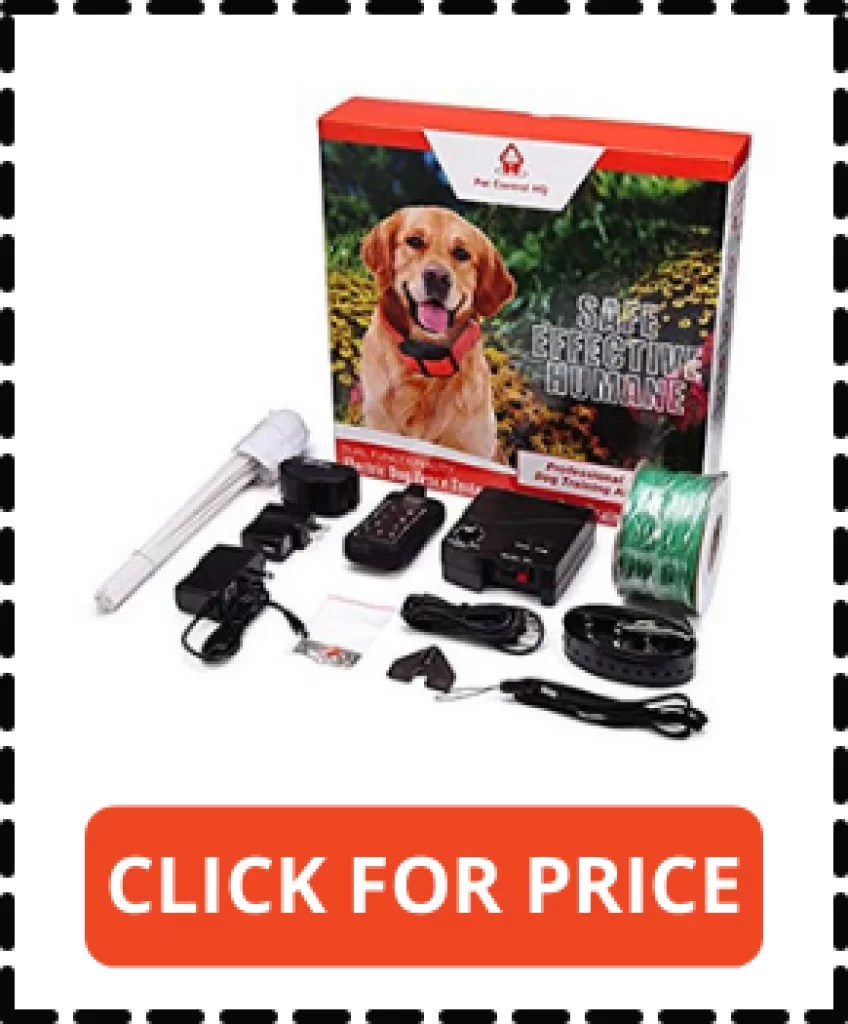 5 Best Wireless Dog Fence For 2, 3 & 5 Acres Coverage 2022