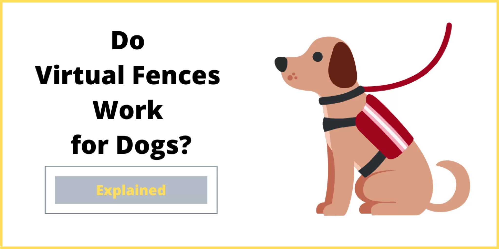 Do Virtual Fences Work for Dogs? Things You Need to Know