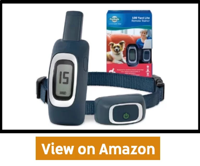 7 Best Wireless Dog Fence for 2 Dogs 2022 (Budget Friendly)