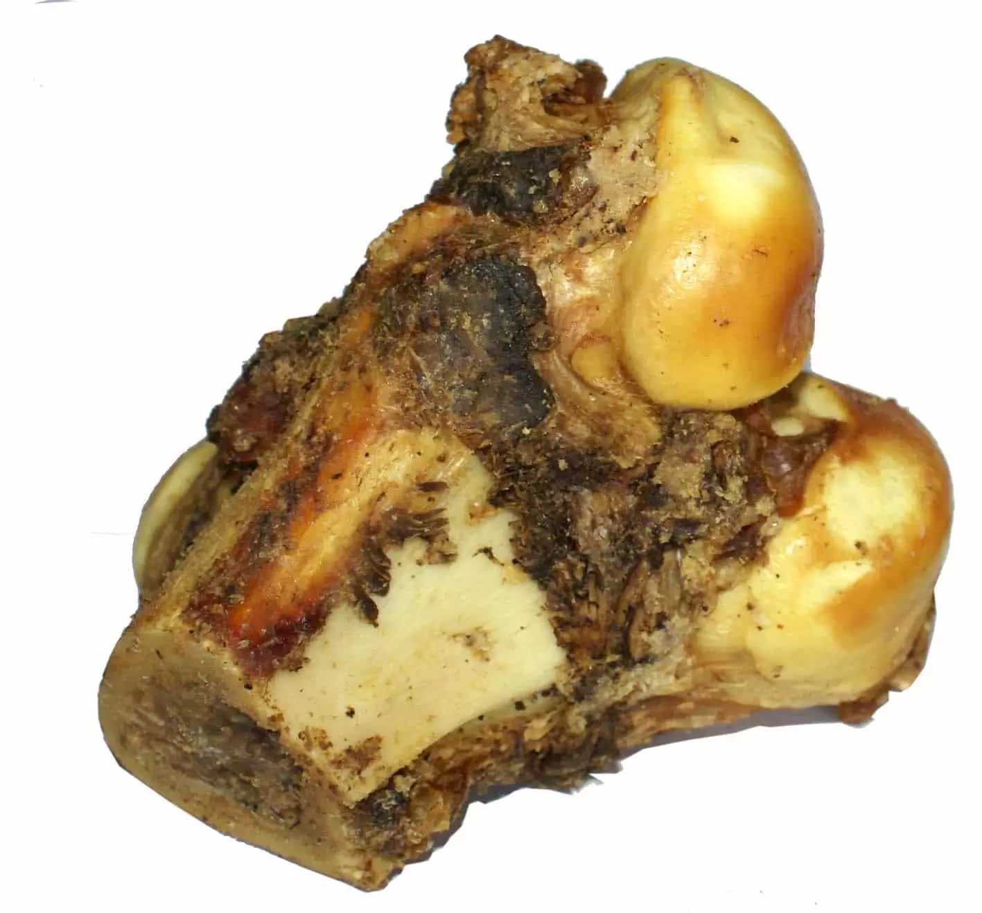 How to Safely Feed a Dog Bones Dogs First