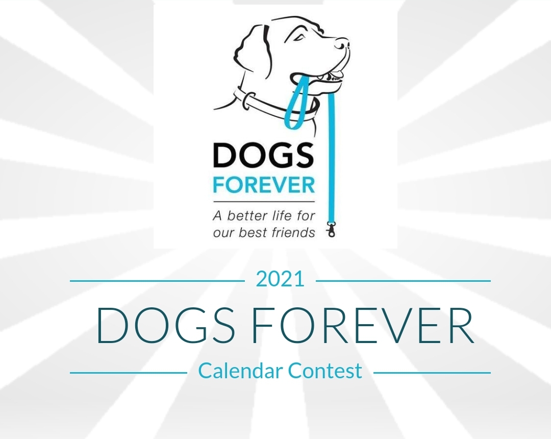 Events Dogs Forever Cedar Rapids, Iowa