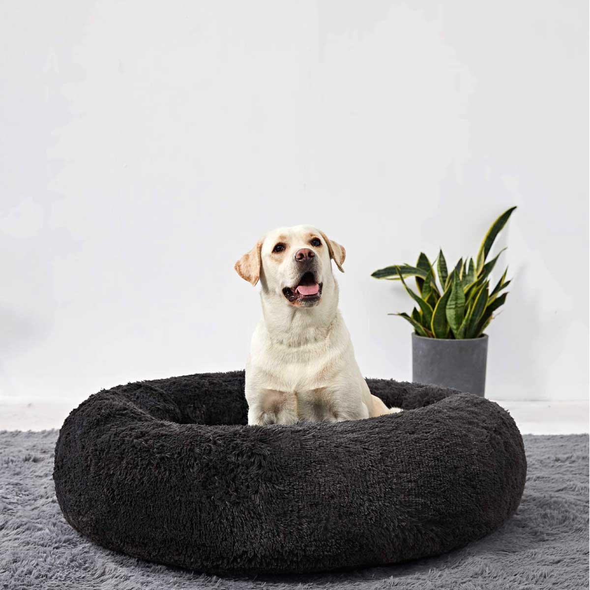 Cama suave calmante anti ansiedad antiestrés ™ perro gato