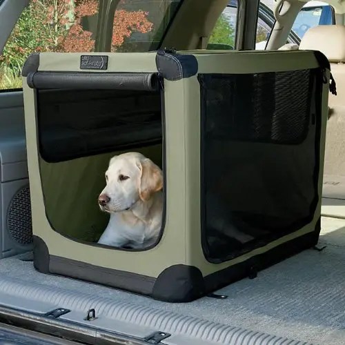 Dog Car Travel How to have a good road trip with your dog