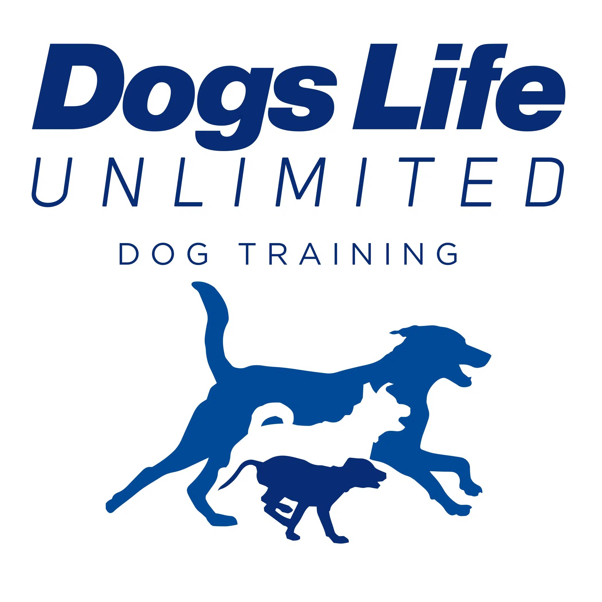 Dog Training & Puppy Training in Westchester NY, Connecticut CT & NYC
