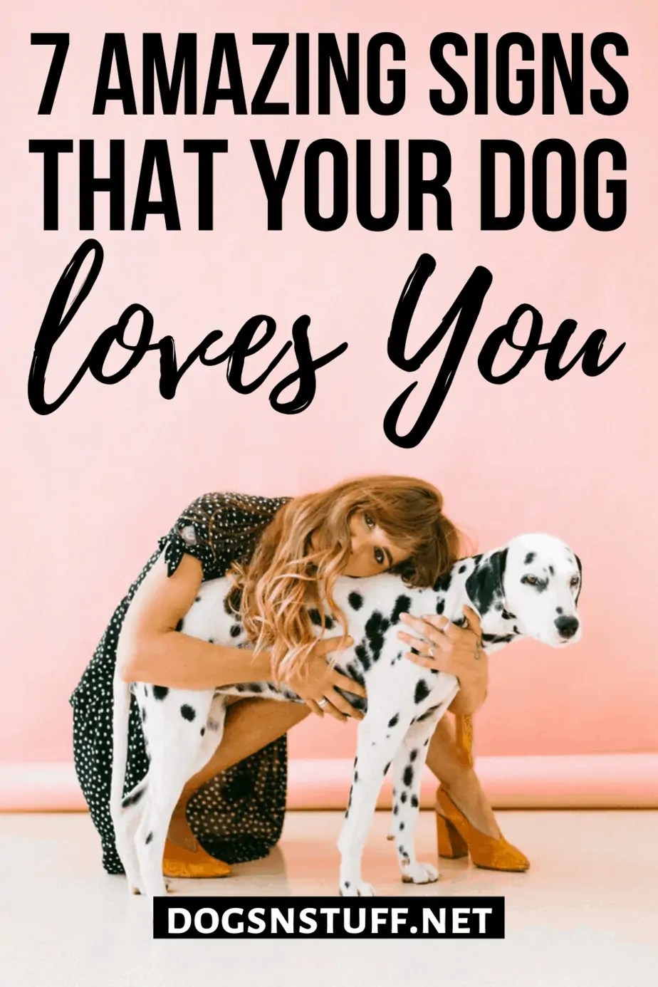 How Do You Know Who Your Dog Loves The Most