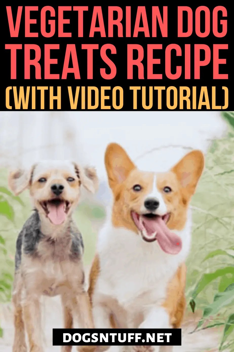 Easy Homemade Hypoallergenic Dog Treats Recipe For Dogs With Allergies
