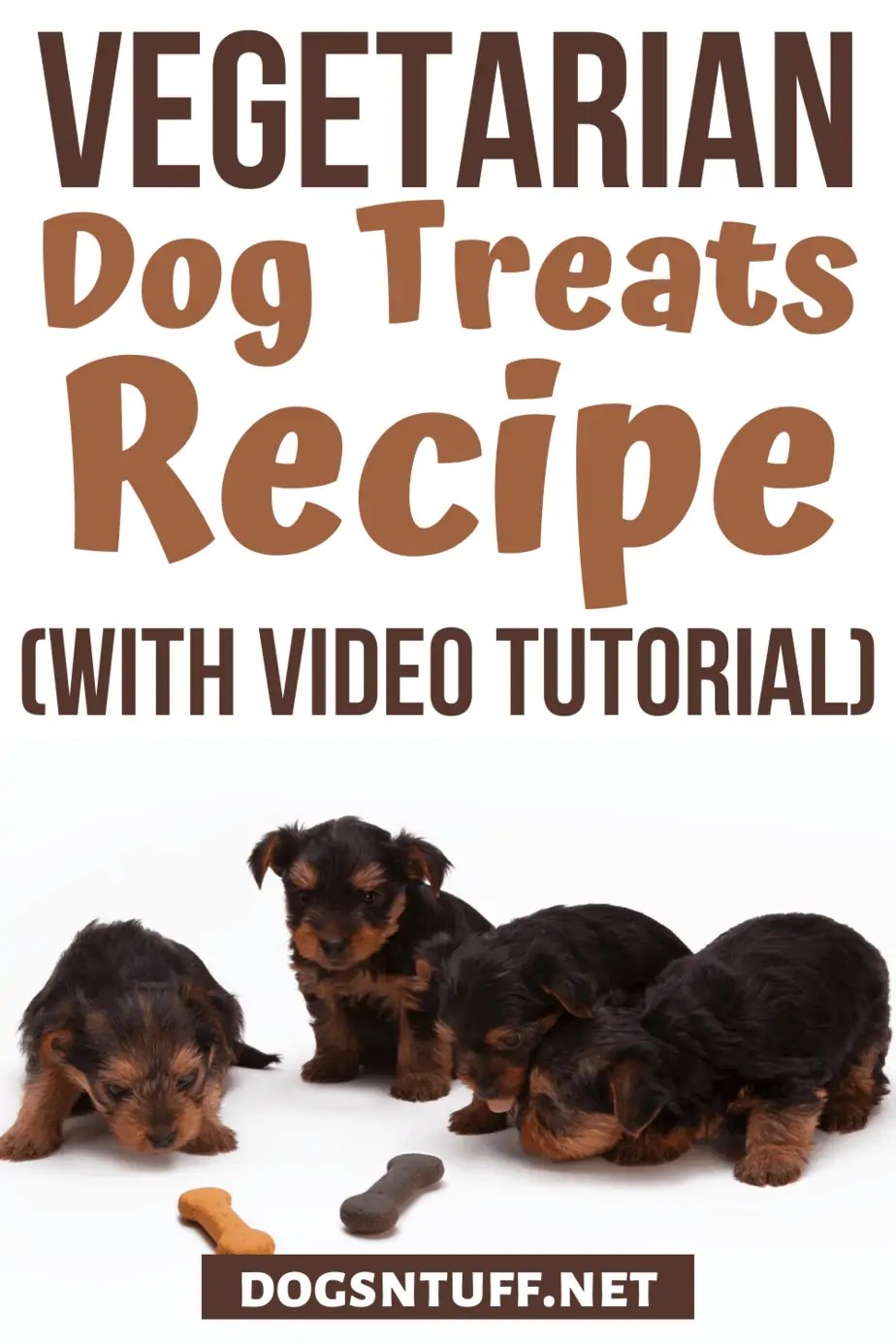 Easy Homemade Hypoallergenic Dog Treats Recipe For Dogs With Allergies