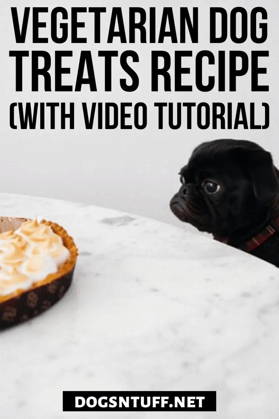 Easy Homemade Hypoallergenic Dog Treats Recipe For Dogs With Allergies