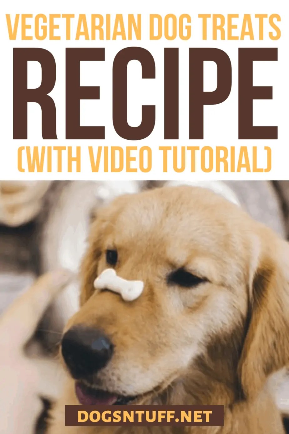 Easy Homemade Hypoallergenic Dog Treats Recipe For Dogs With Allergies