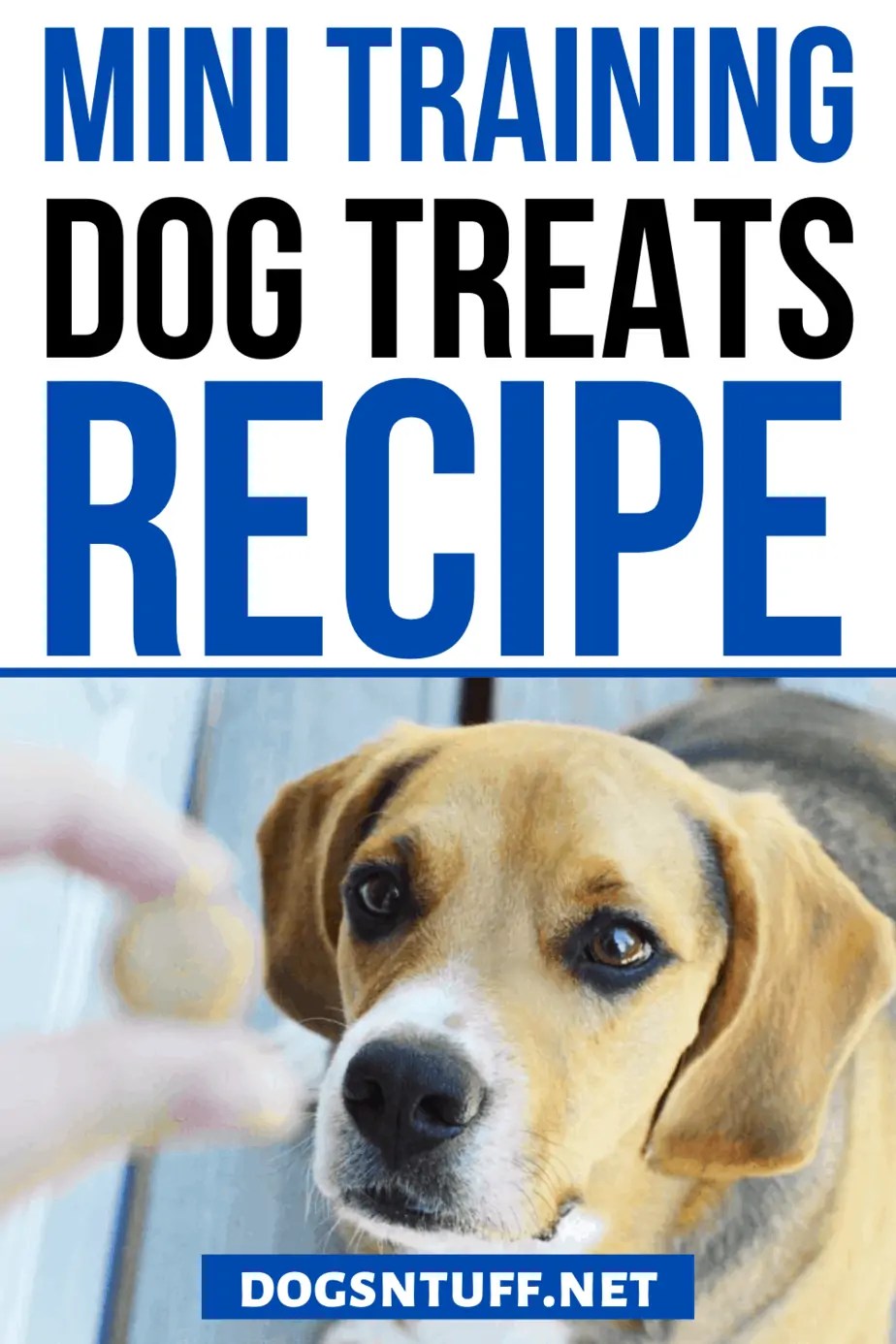 How To Make DIY Dog Training Mini Treats? Dogs 'N Stuff
