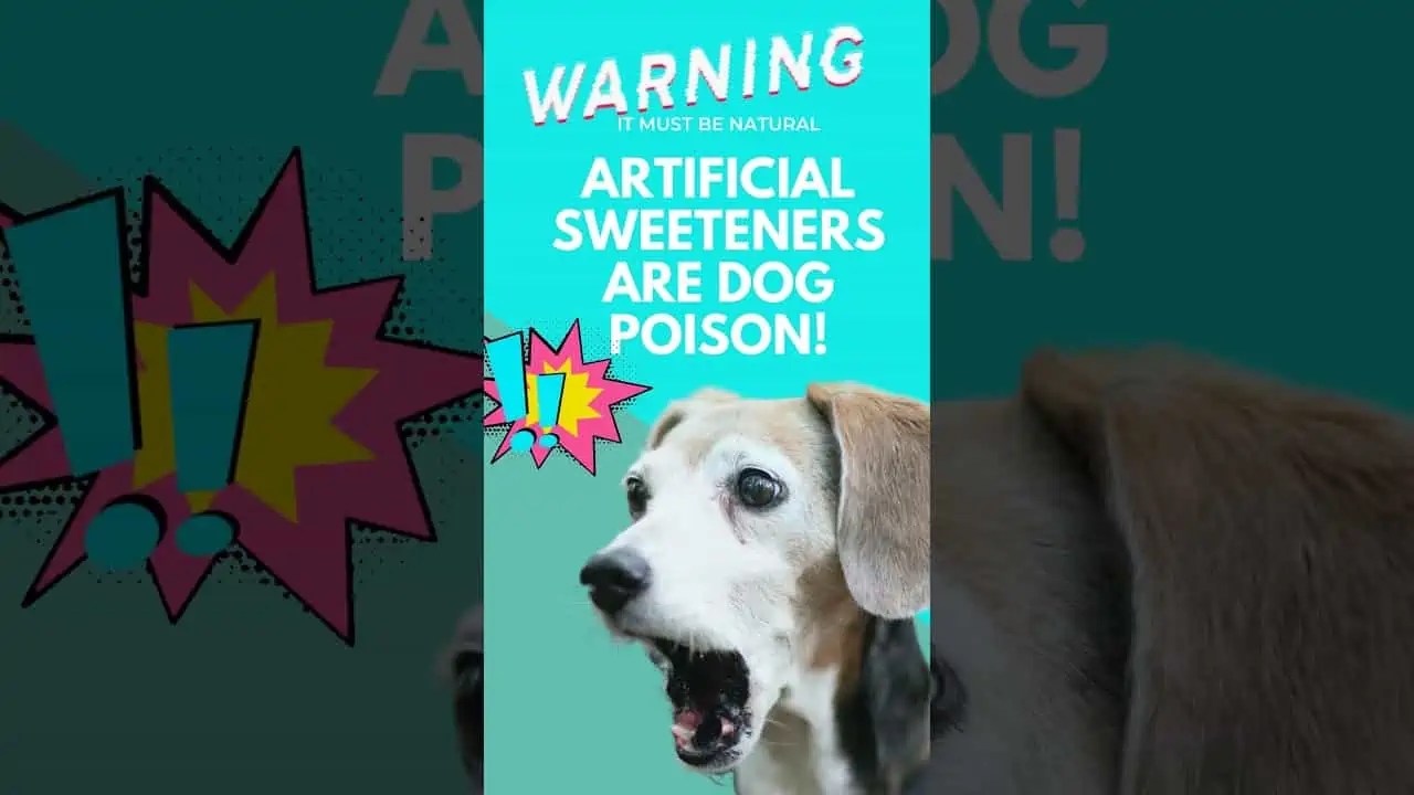 Is Coconut Milk Bad For Dogs