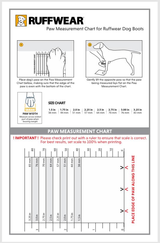 Dog Shoes Do You Need Them?