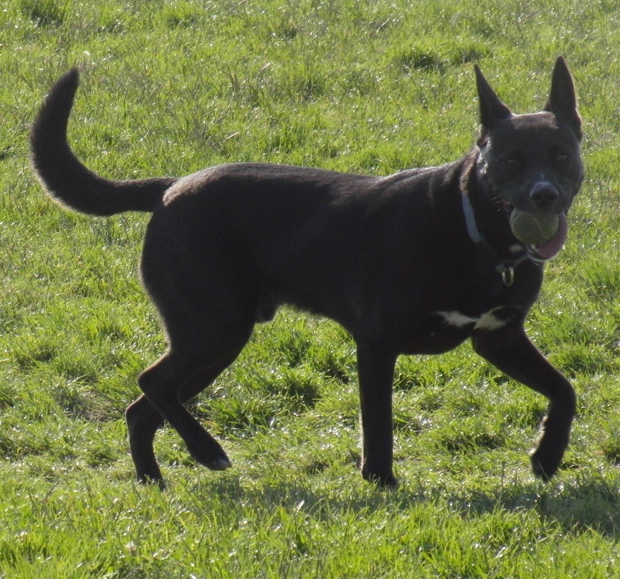 Woohoo! I got it! Now I’ll just go over here and chew on