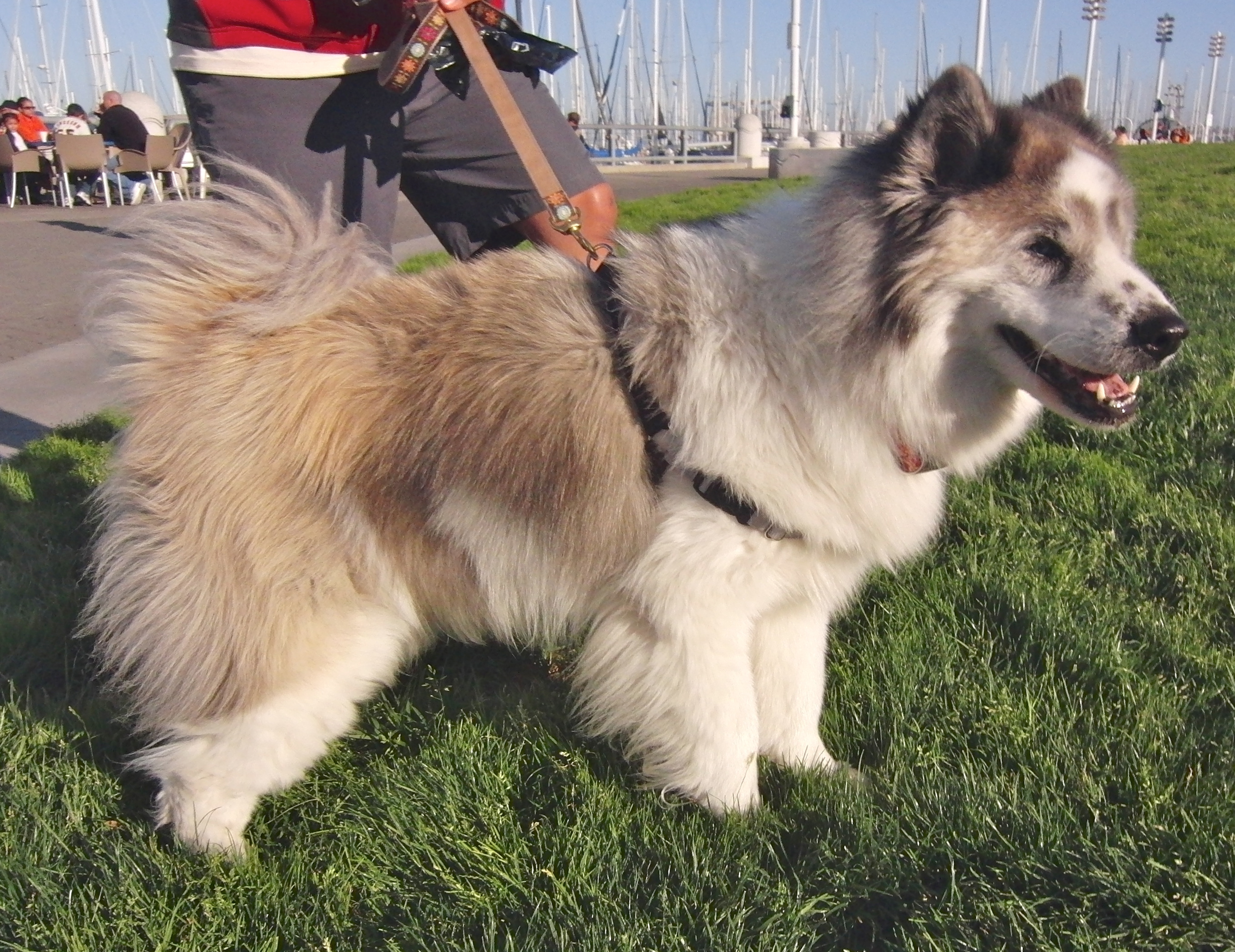 …and on your right, you’ll see a small harbor, right next