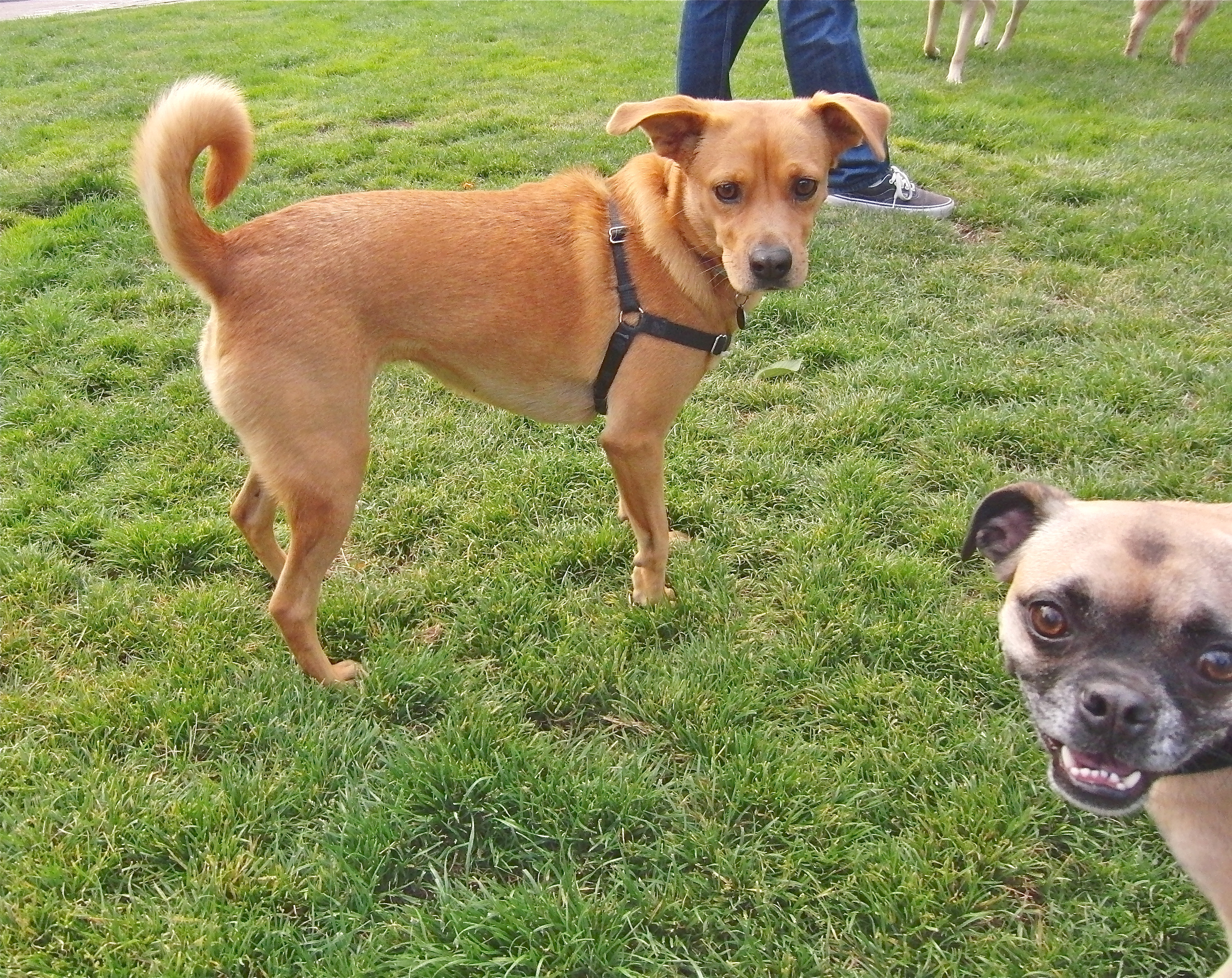 “But such is the way of the modern world, where…” “HI