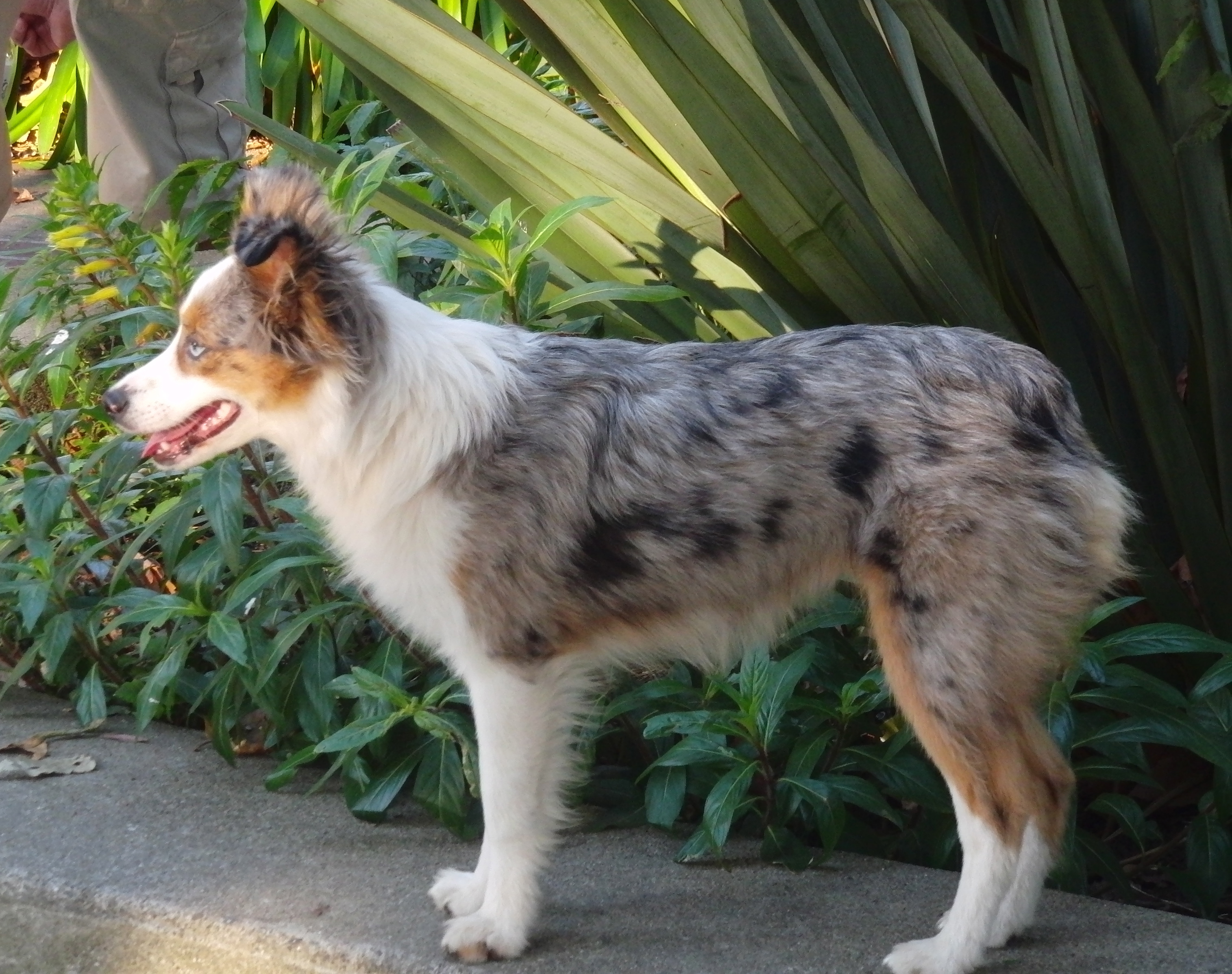 Hark? Was that the sound of a twig snapping? Surely her