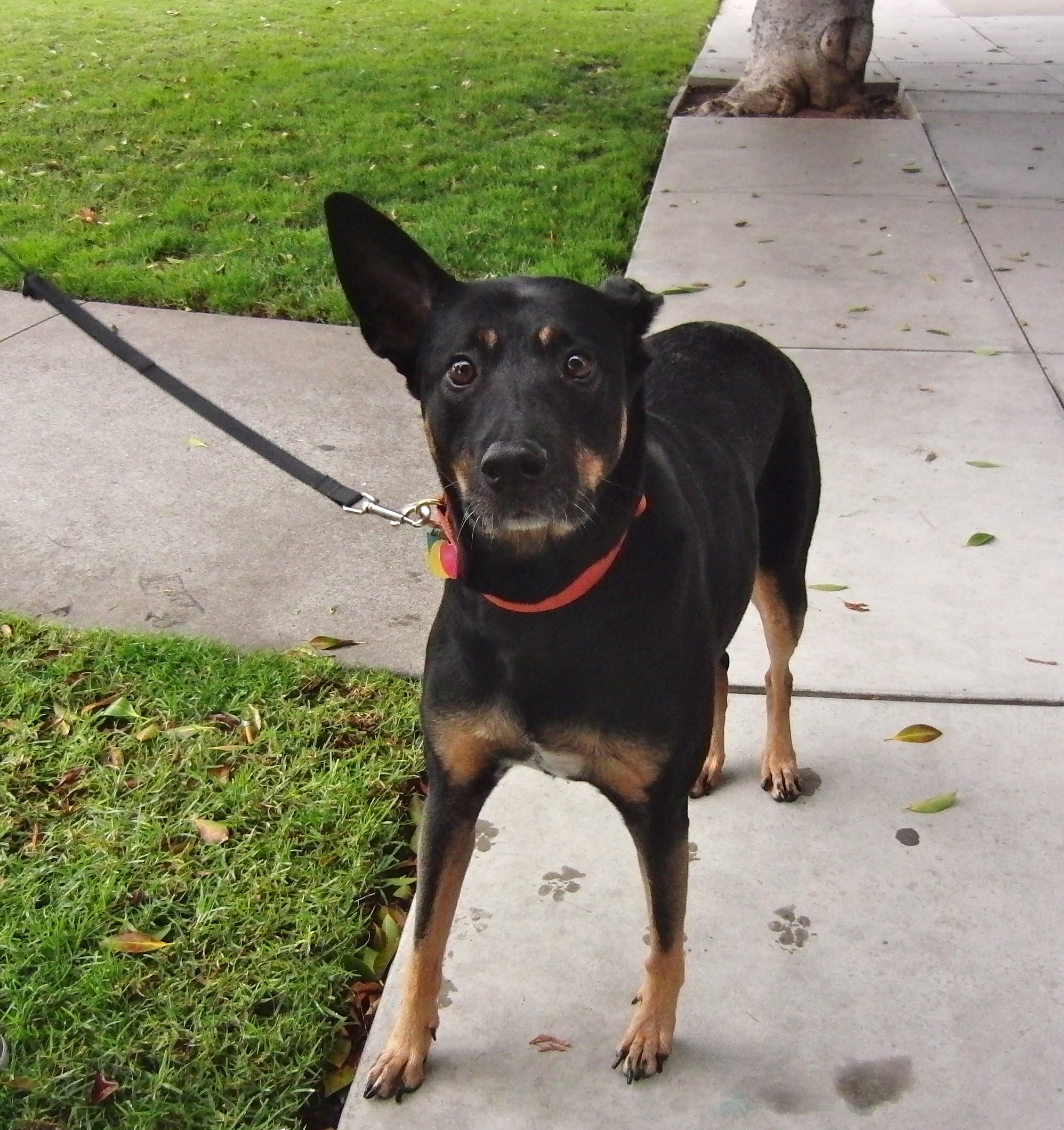 There’s this weird guy — no, don’t look! — who keeps