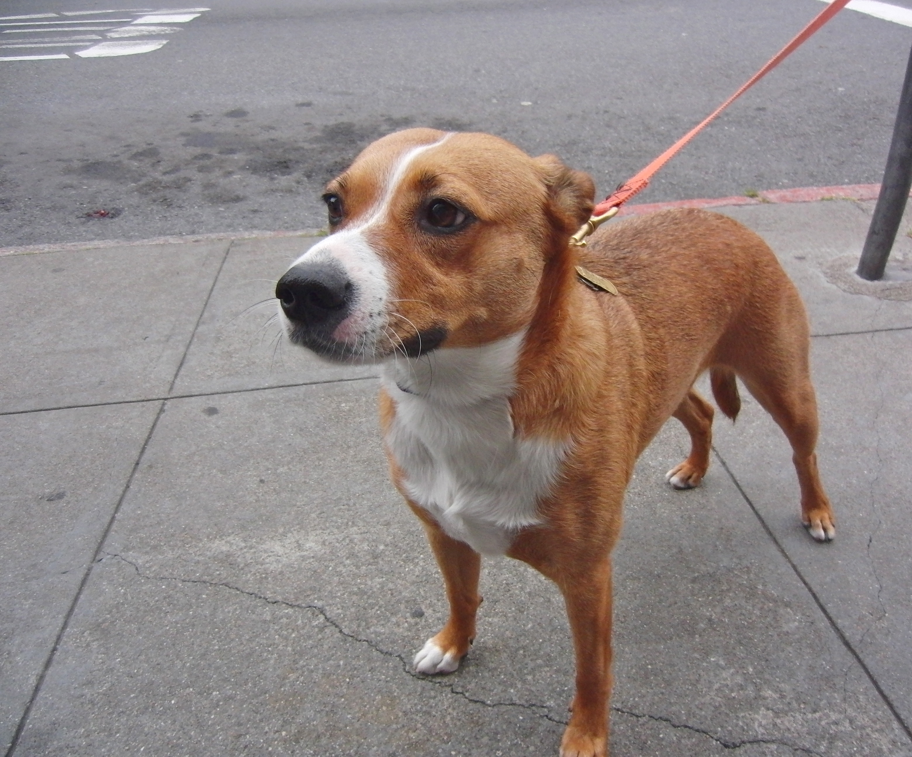 I was told we were going to dinner at this lovely