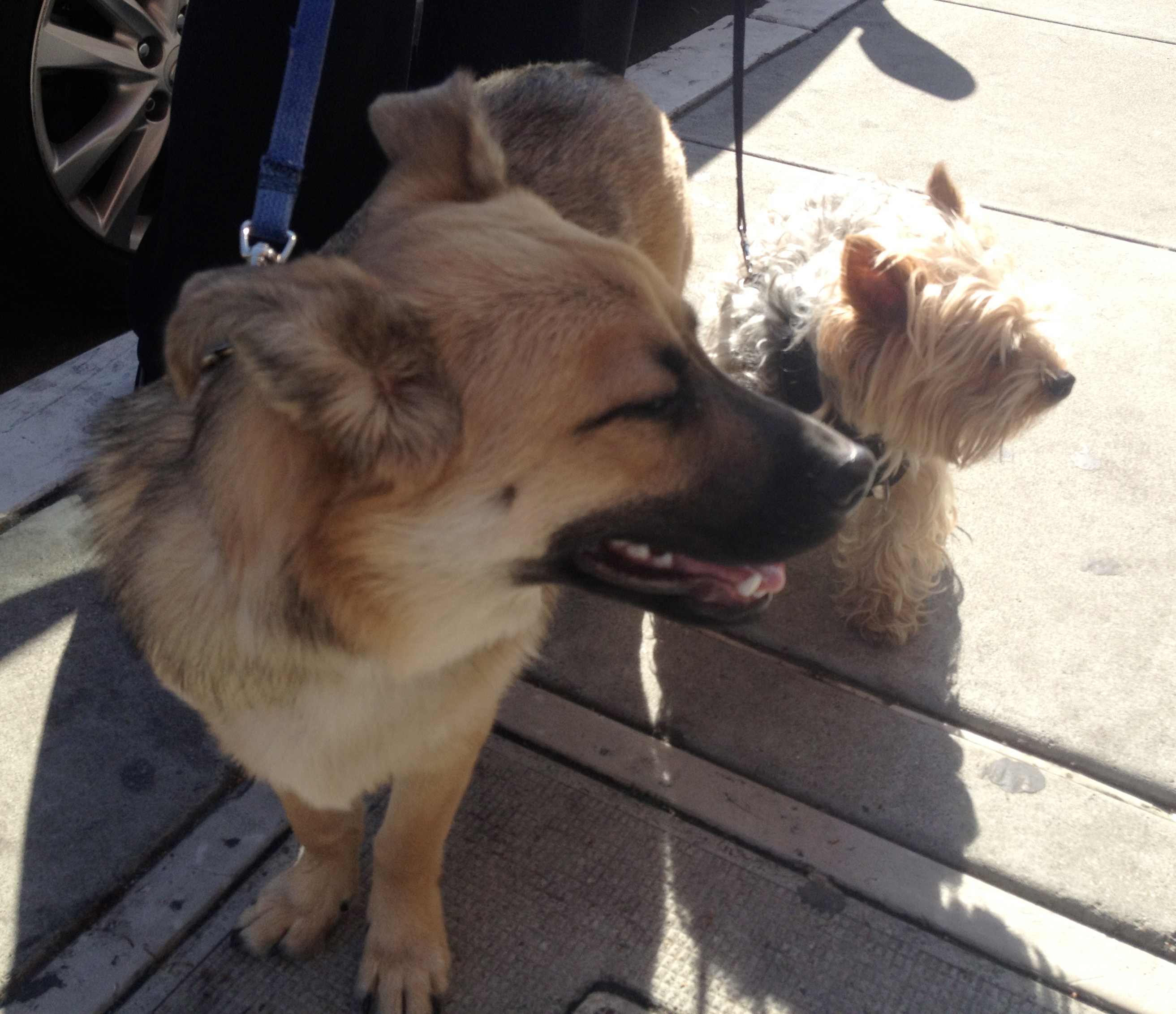 What? Picture? Sure, sure. Sorry. We’re distracted by the delicious