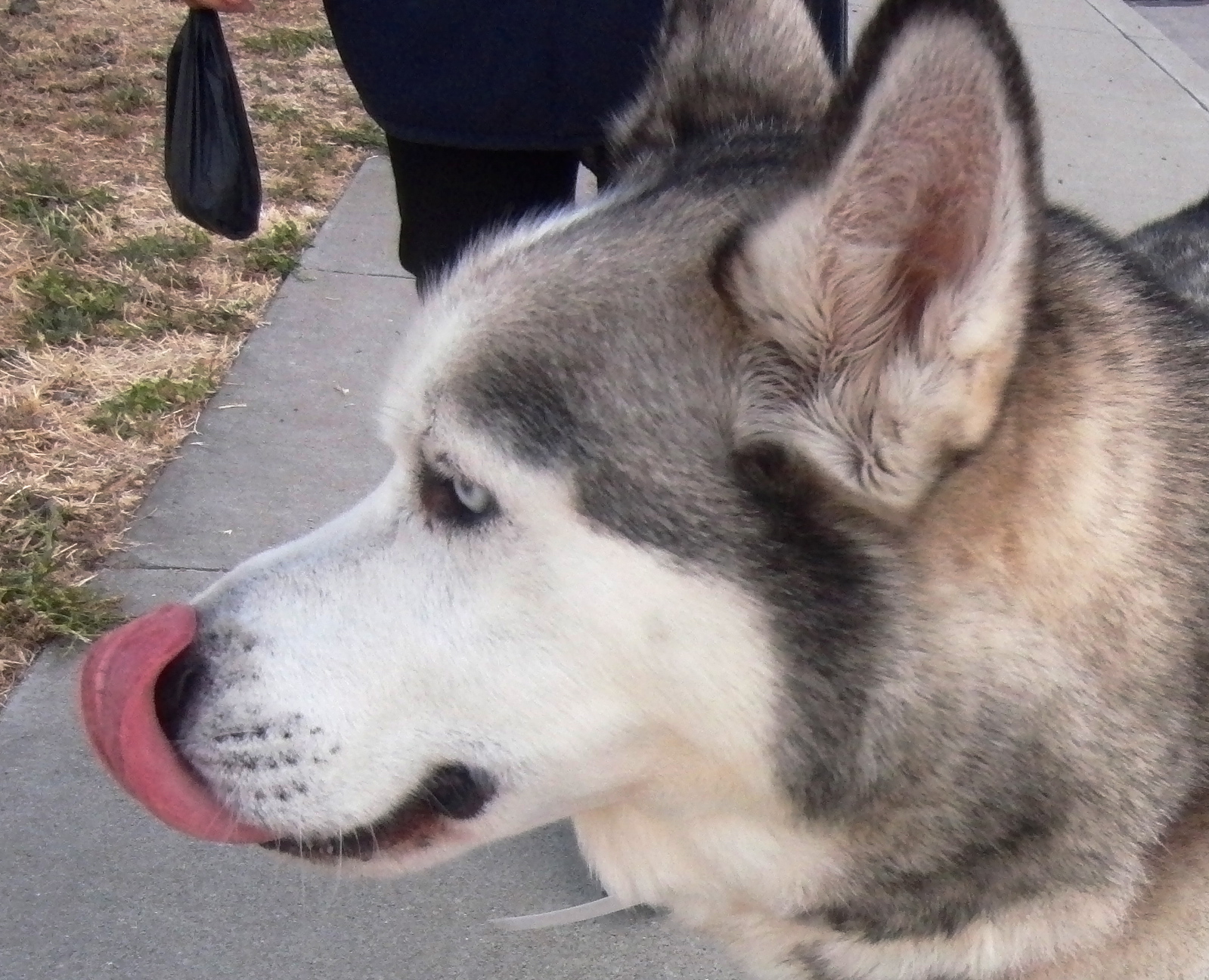 …then I get all silly… (HELP! I CAN’T BREATHE THROUGH MY NOSE! Oh wait