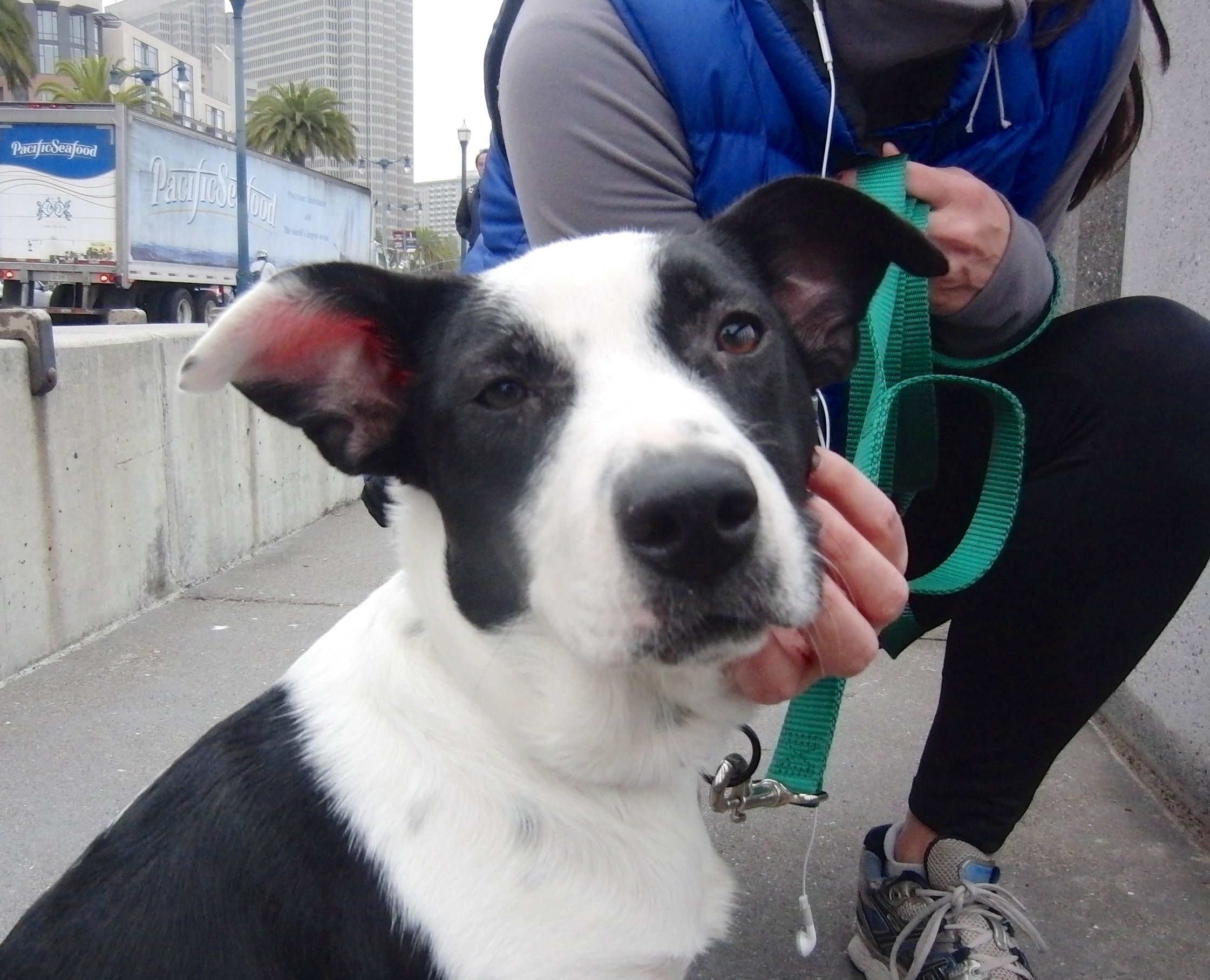 People are ALWAYS staring at my butt! How would you like it if I stared