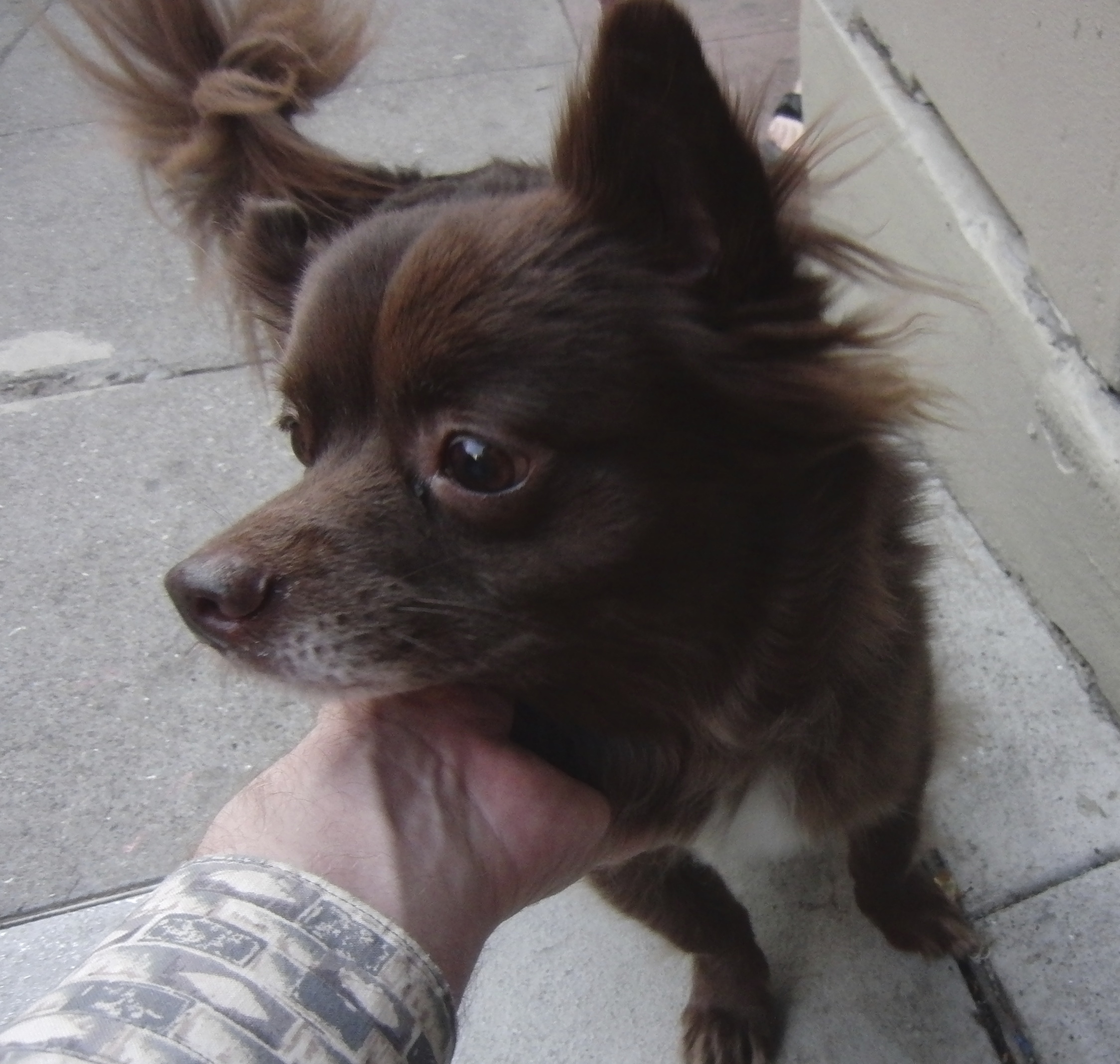 Well… okay, I can pause for a quick scratch, but I must