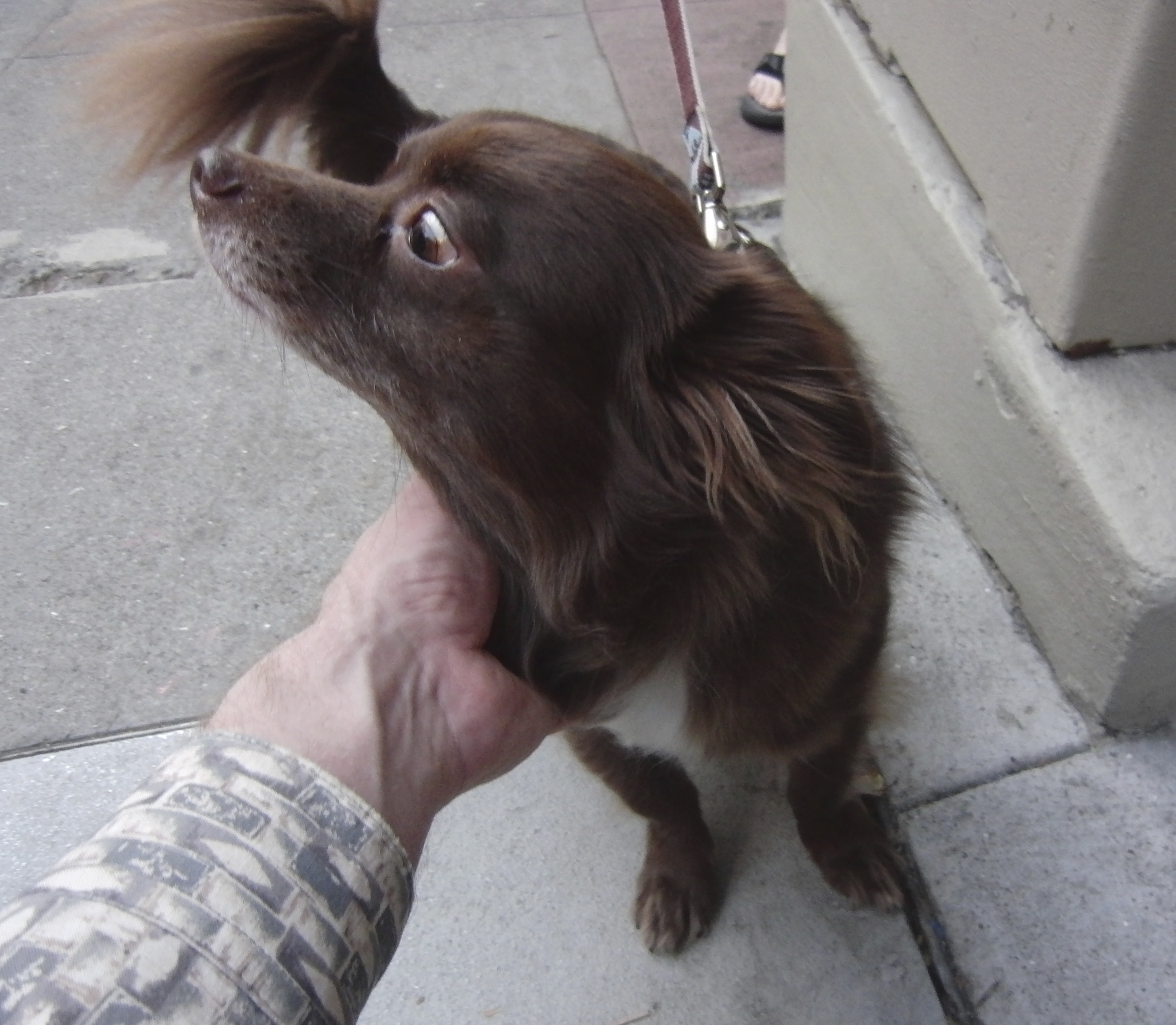 Oh my goodness! There are our biggest rivals! We must be