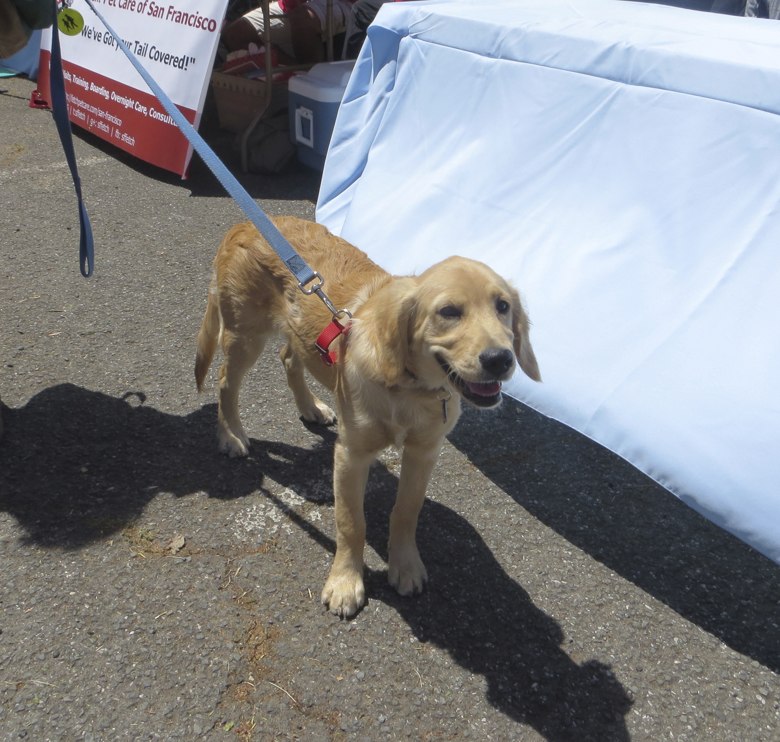 Mom, this is AWESOME! Can we go to one of these things every day? The