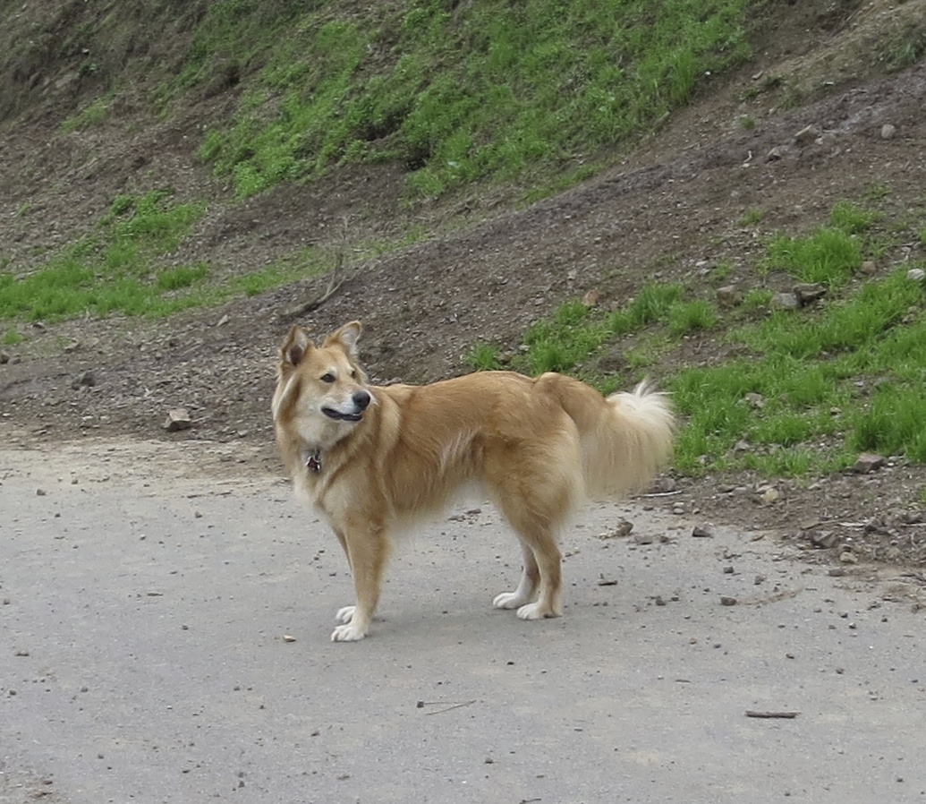 Hmm… if my calculations are correct, it should be… that