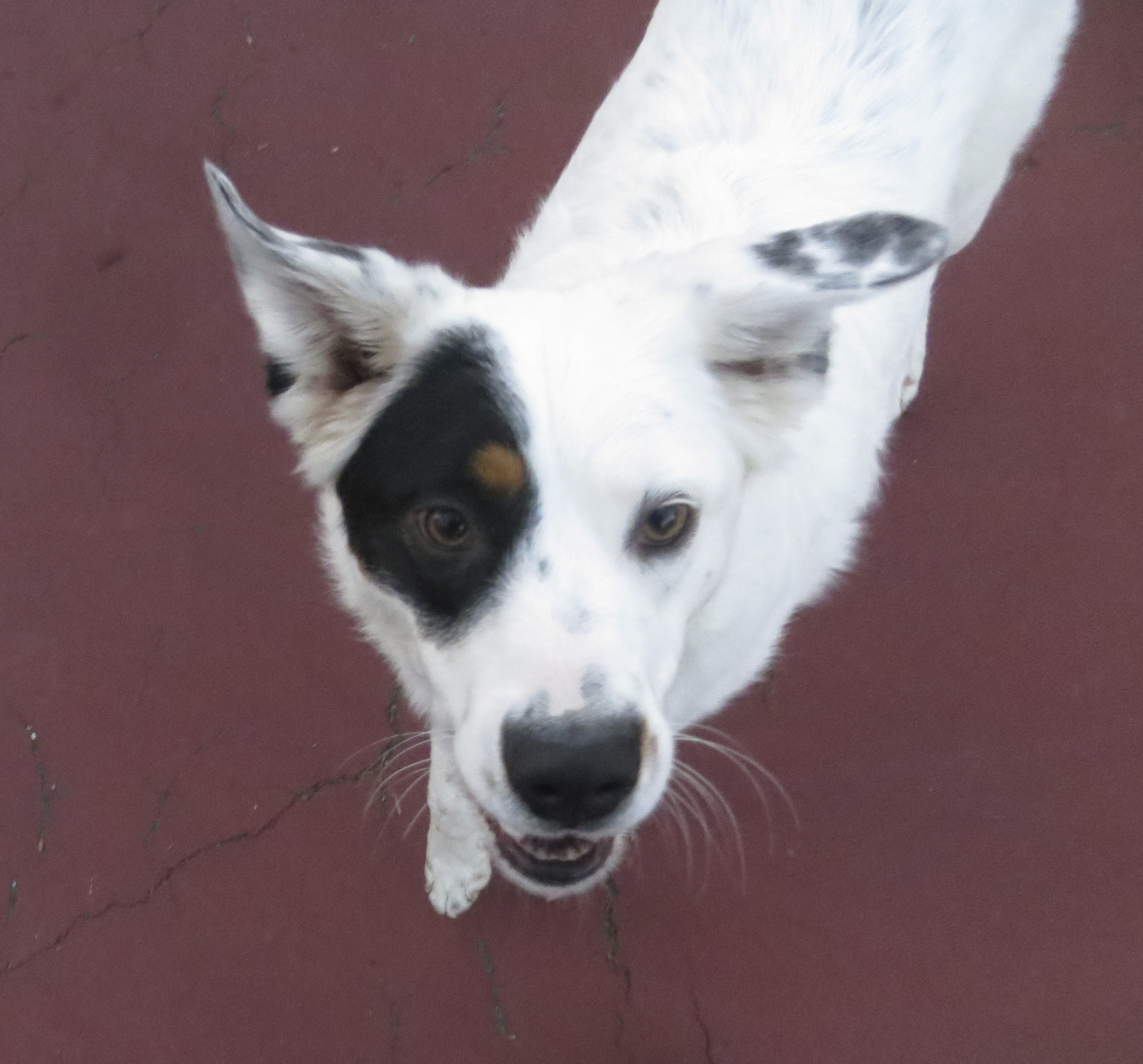 What? No no NO, you can’t leave yet! We’ve only just met