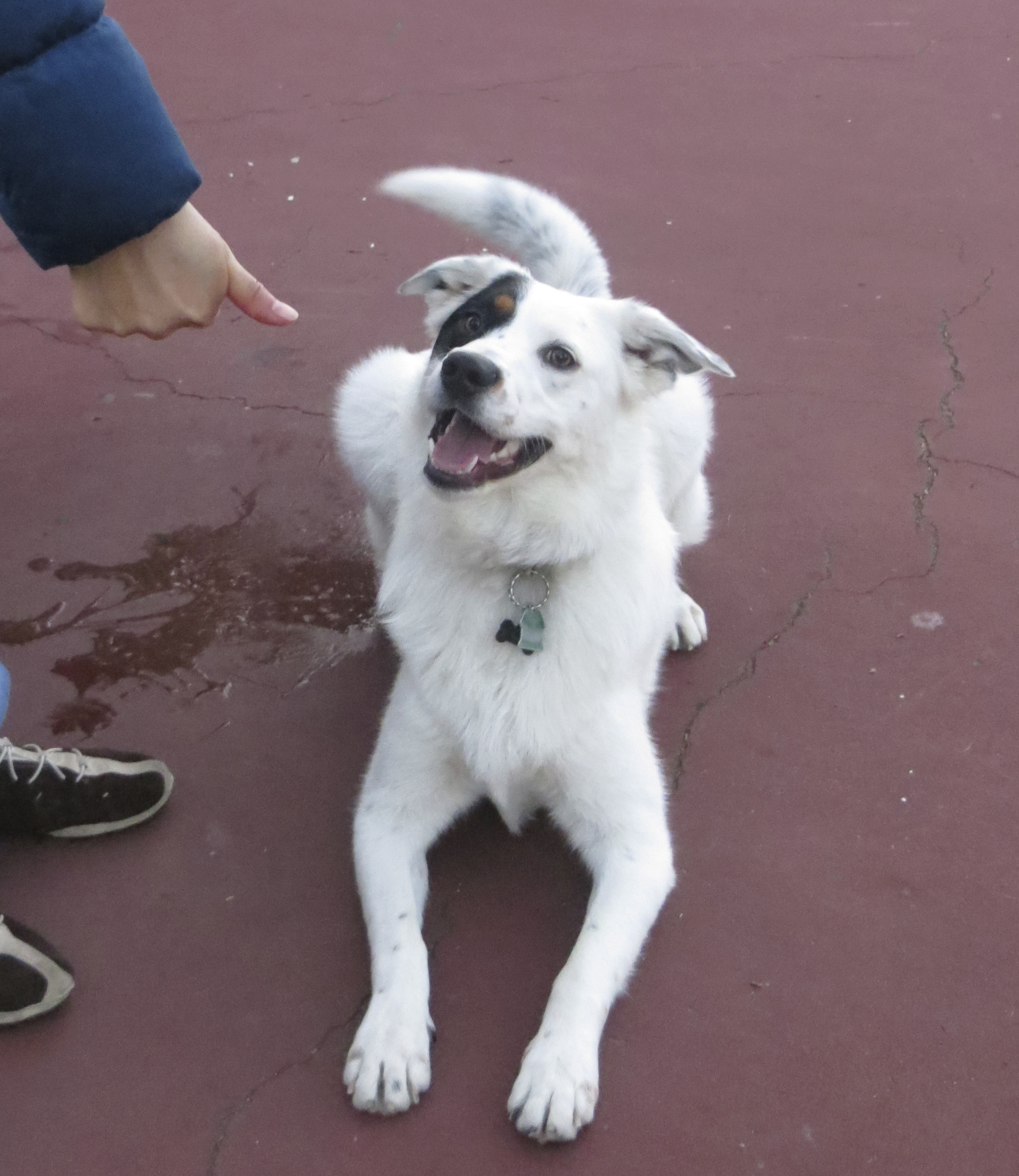 And I’m Bedford! It’s bed as in bed, and Ford as in