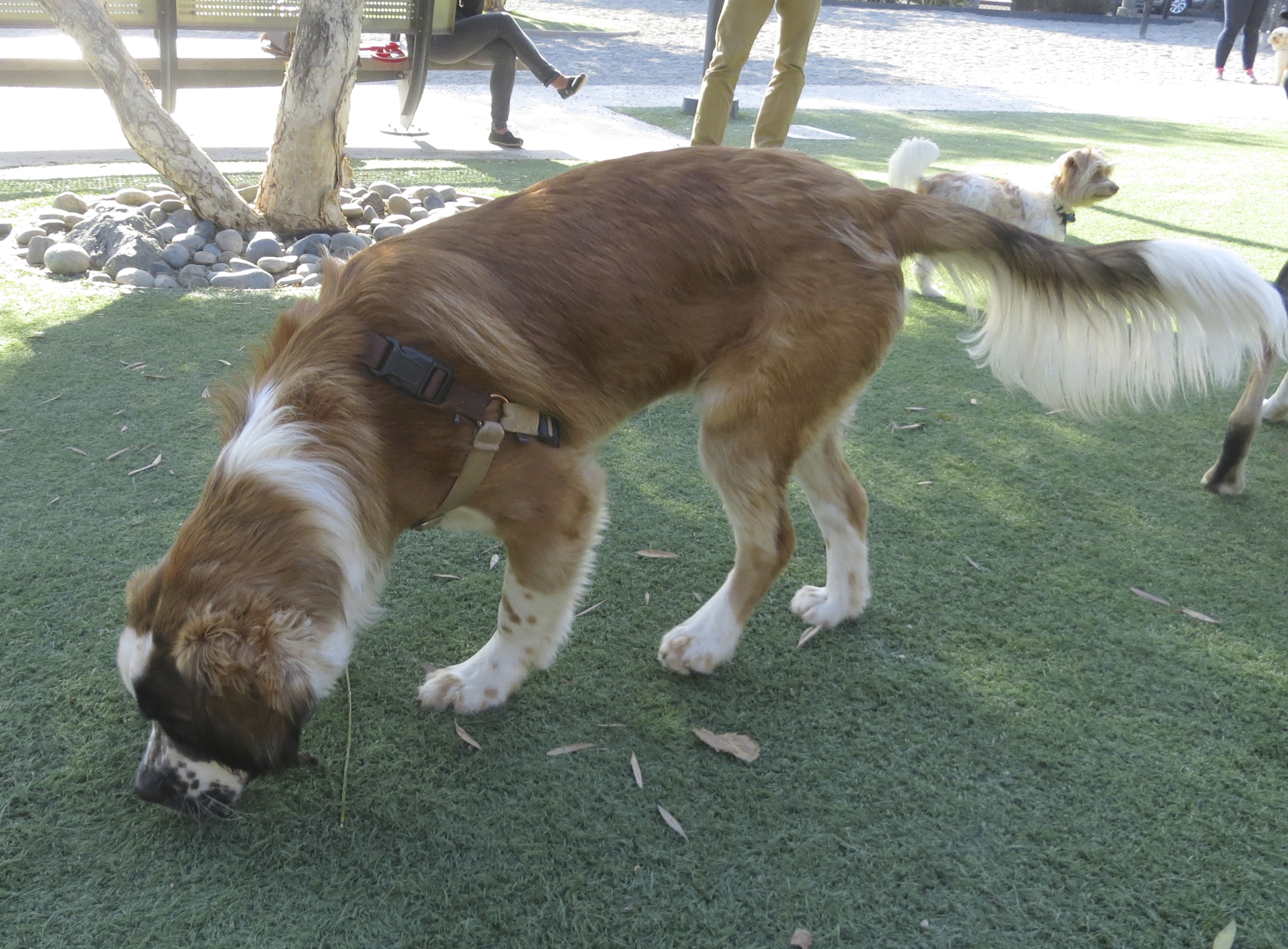 All right all right all right, who peed right in the middle of my nice