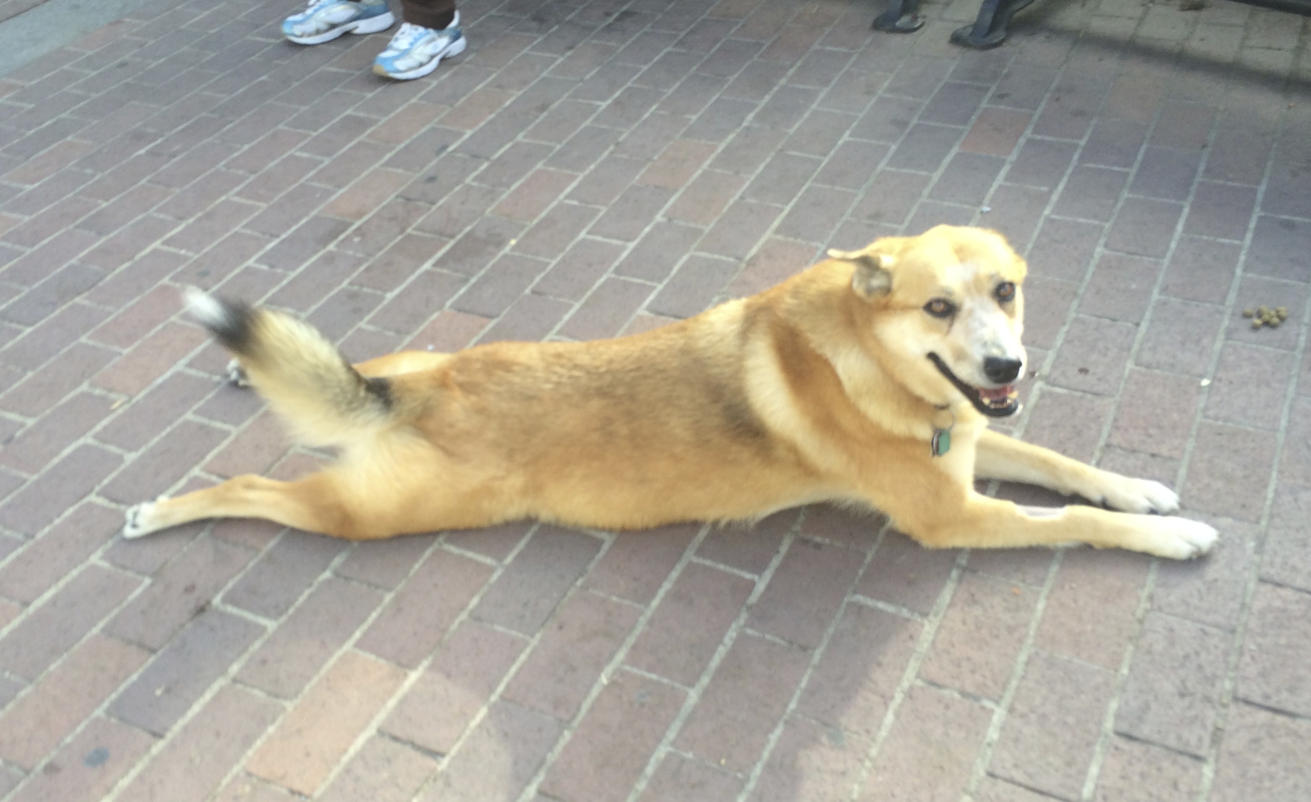 Nah, I’m just messin with ya! How’ve you been? I’m just getting ready