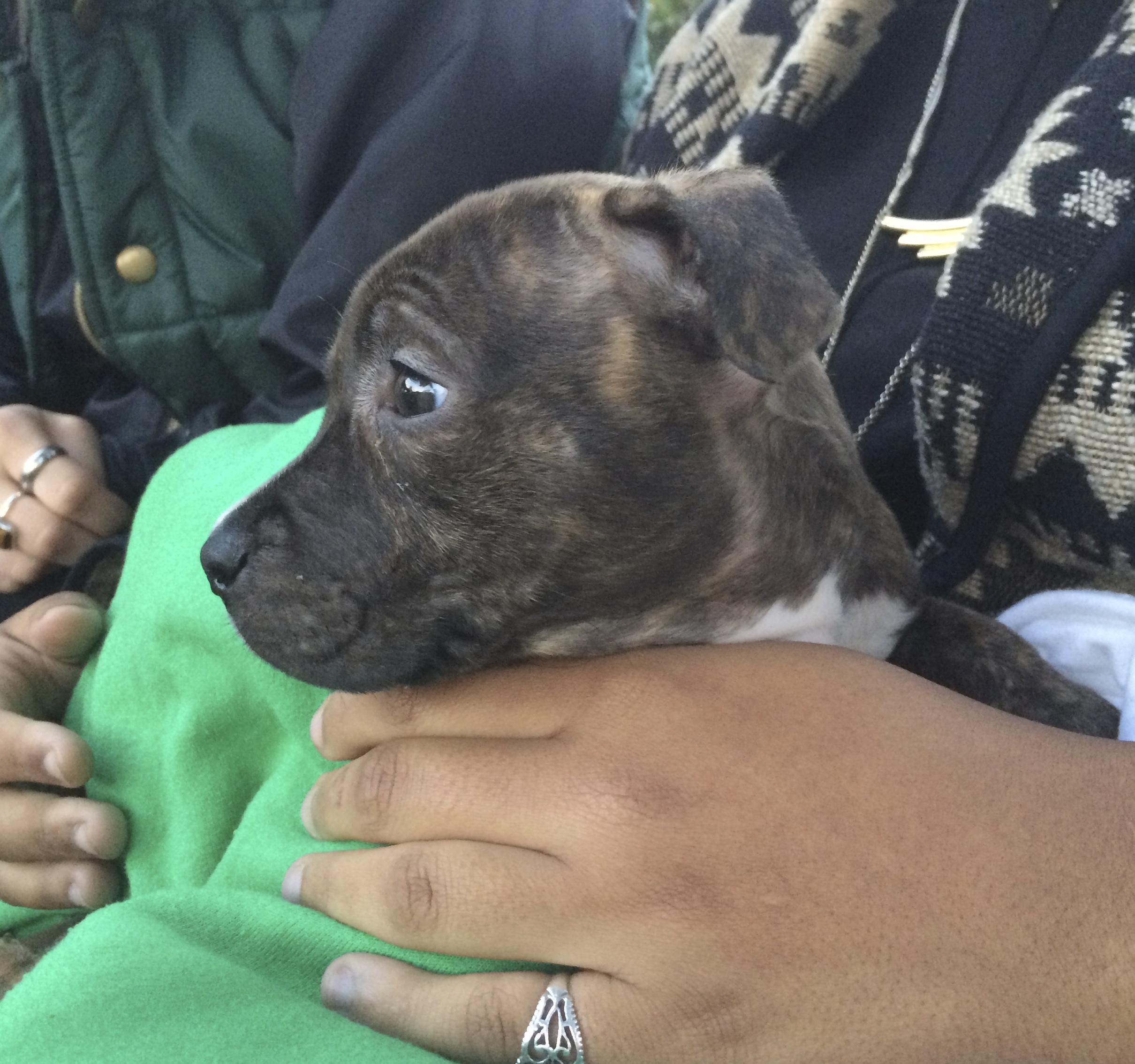 Play with HIM? …I dunno, he looks awfully BIG to me. The