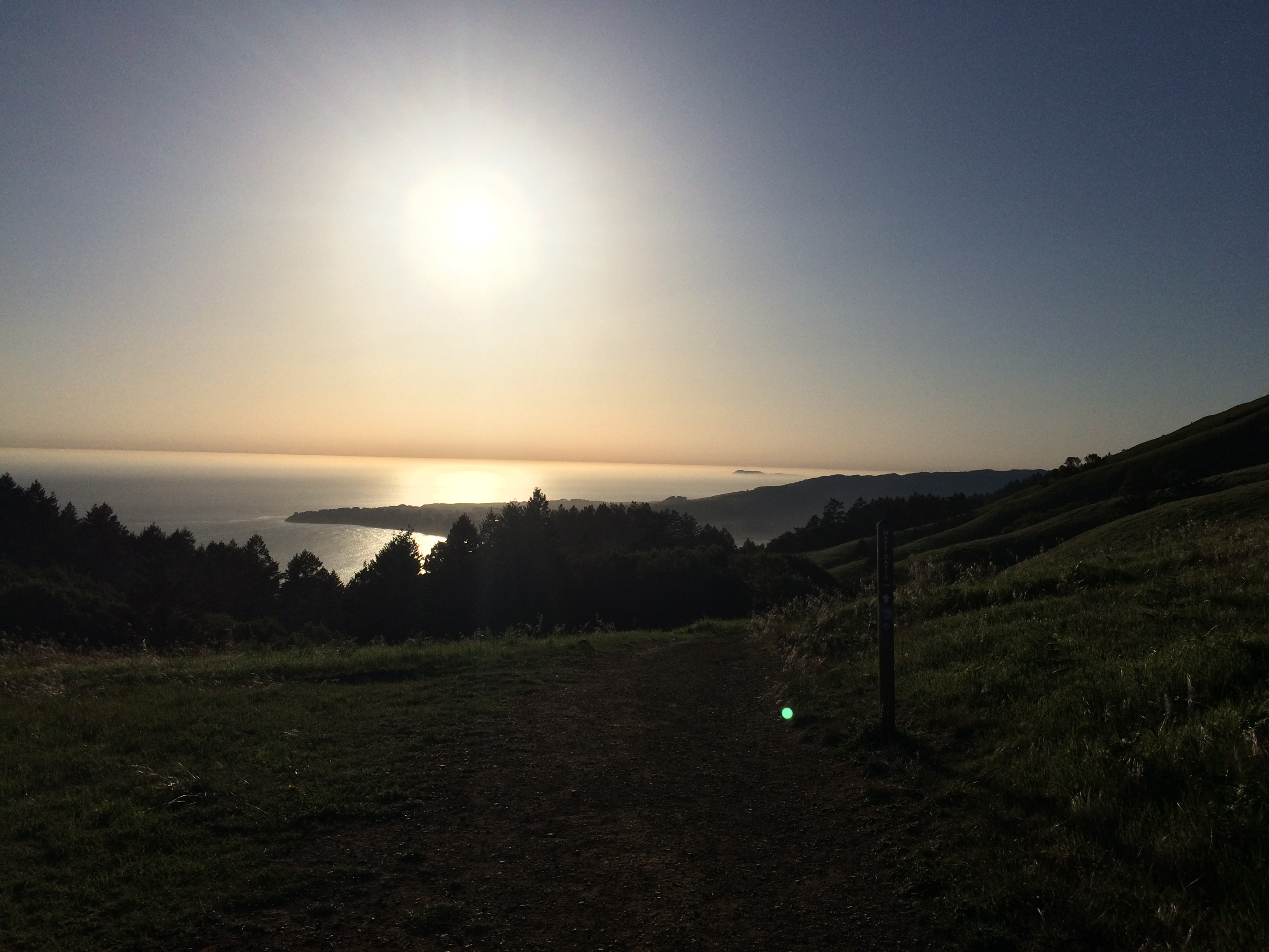 Looking Out To Sea From Stinson Beach The Dogs of San Francisco