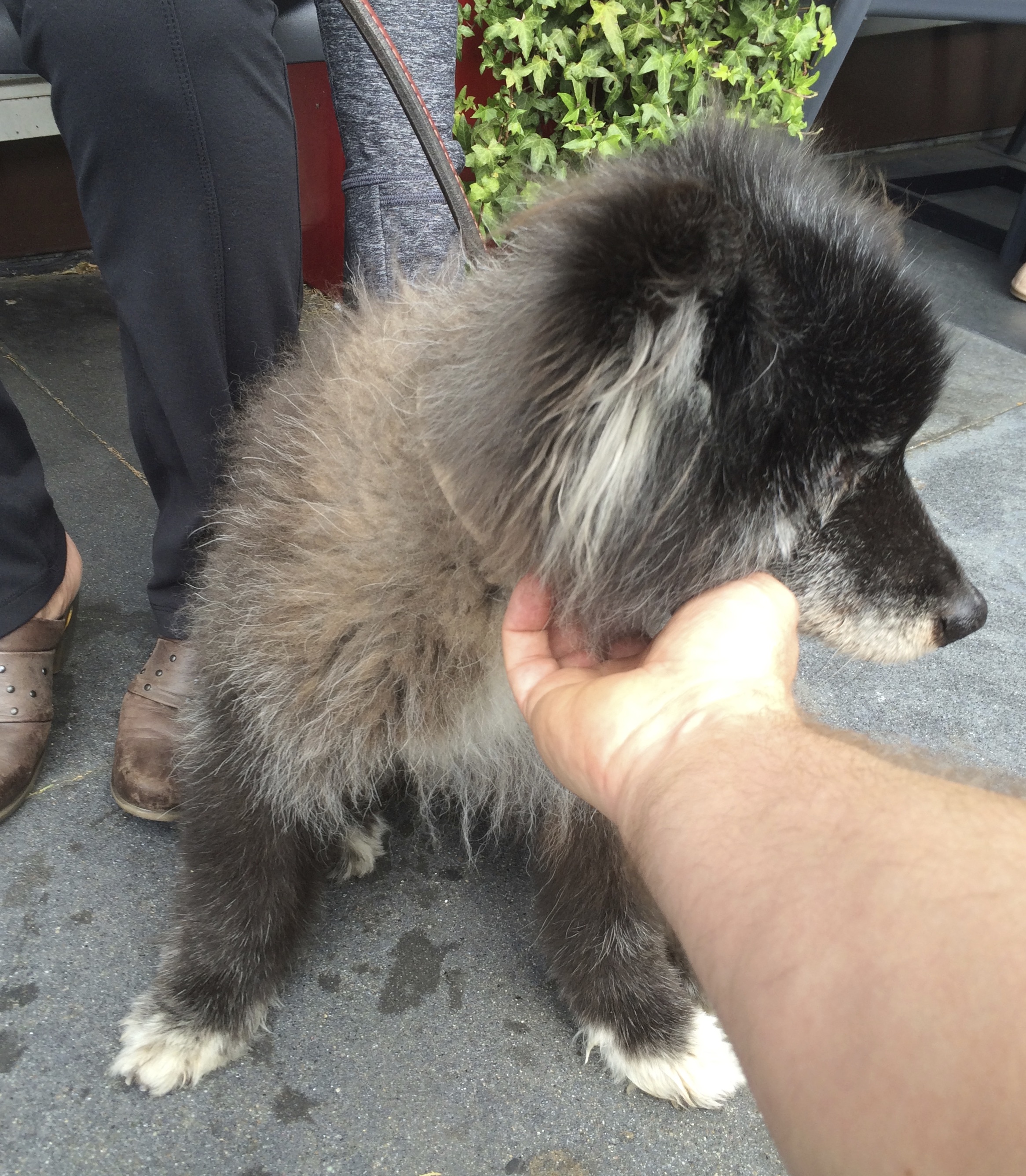 Ah, yes, that’s right. I can see you’re rude quite often, you know just