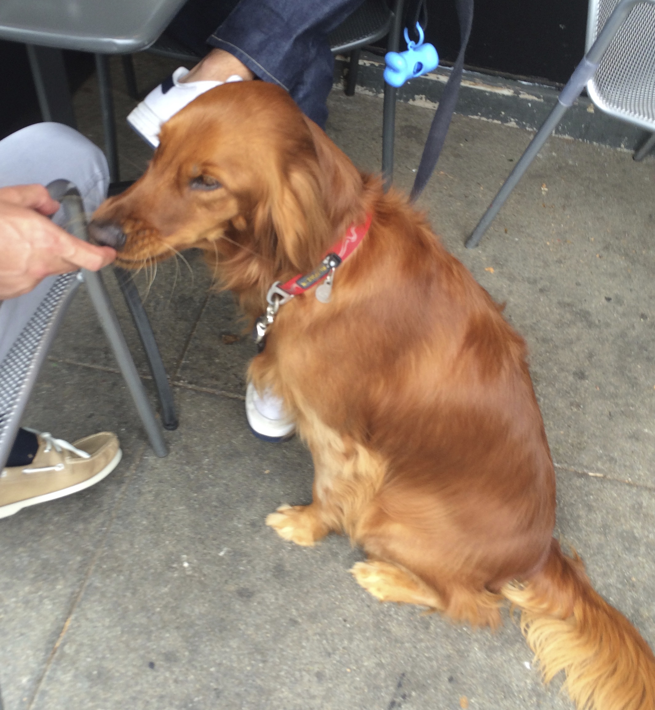 Hang on, I’ve got a little piece of spinach stuck between