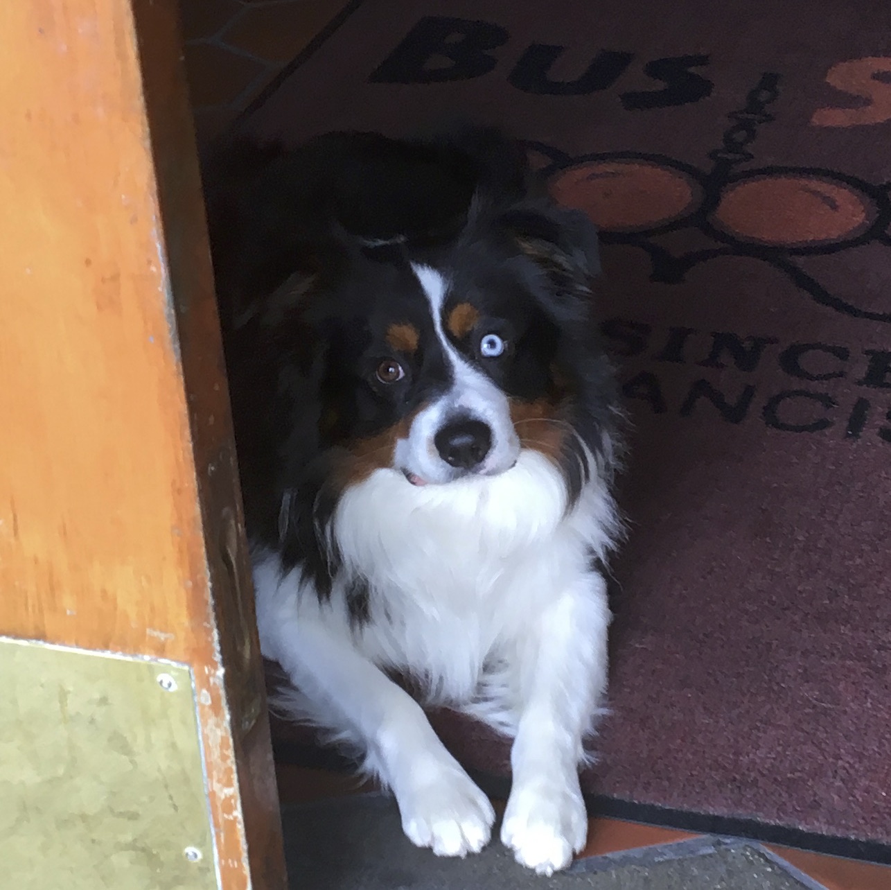 What are you looking at? Is there something caught in my