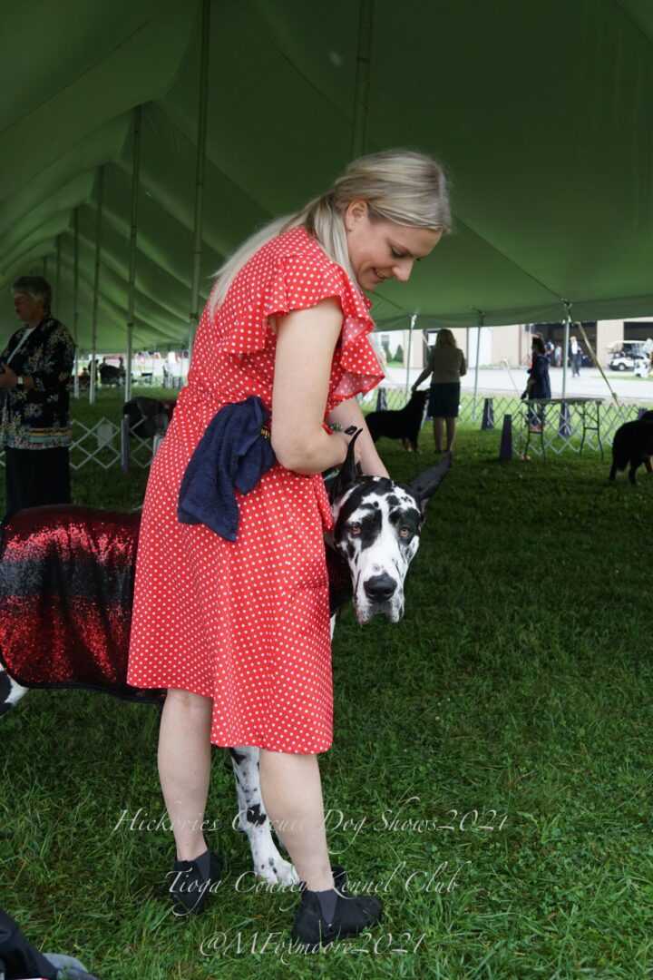 Hickories Circuit Dog Show Tioga County Kennel Club