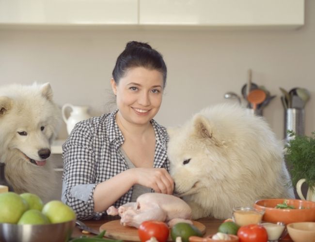 Quick and Easy Dog Food Recipes for Busy Fur Parents Dog Sploot