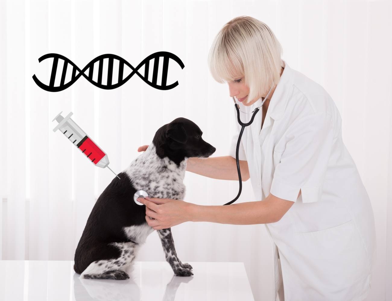 Dog Breed DNA Test What do you need to know?