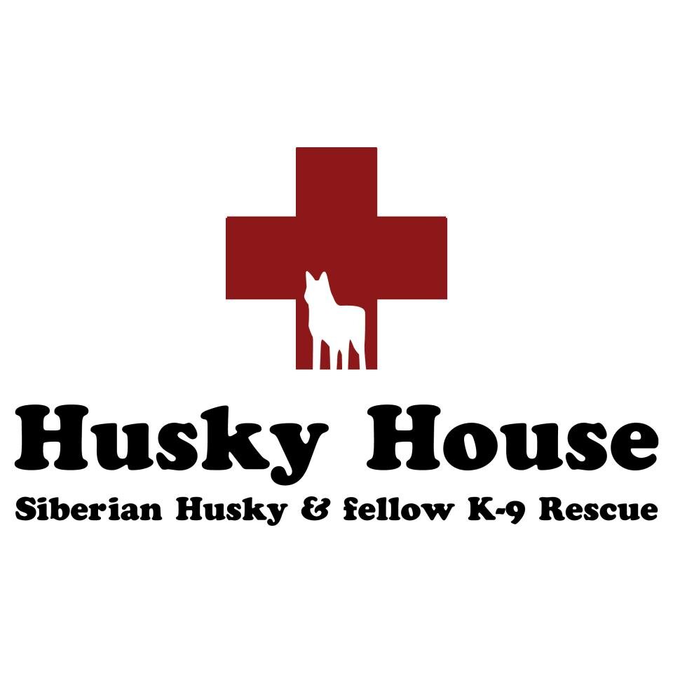 Looking To Rescue A Dog? DogSpotted Can Help Your Search DogSpotted