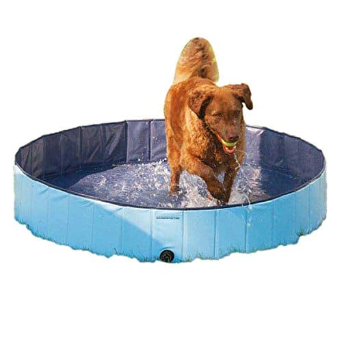 Pet Edge Guardian Gear Splash About Dog Pool Review Dogs
