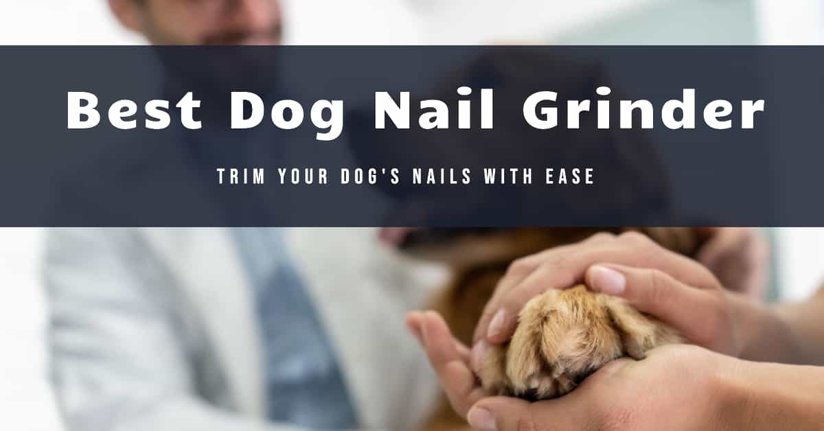Best Dog Nail Grinder Ultimate Guide to Smooth, StressFree Grooming