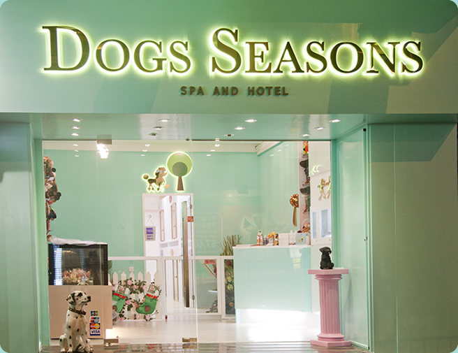 DOGS SEASONS SPA and HOTEL