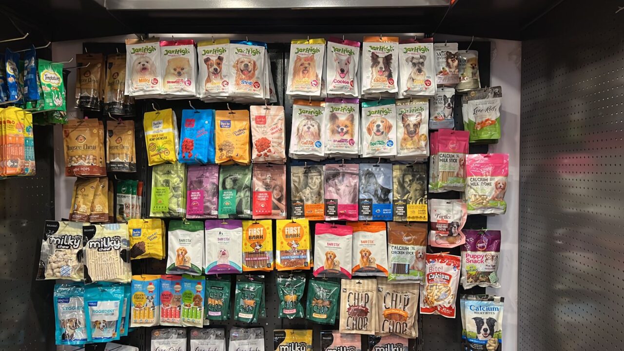 Buy Dog In Pratap Nagar Jaipur Naughty Dogs