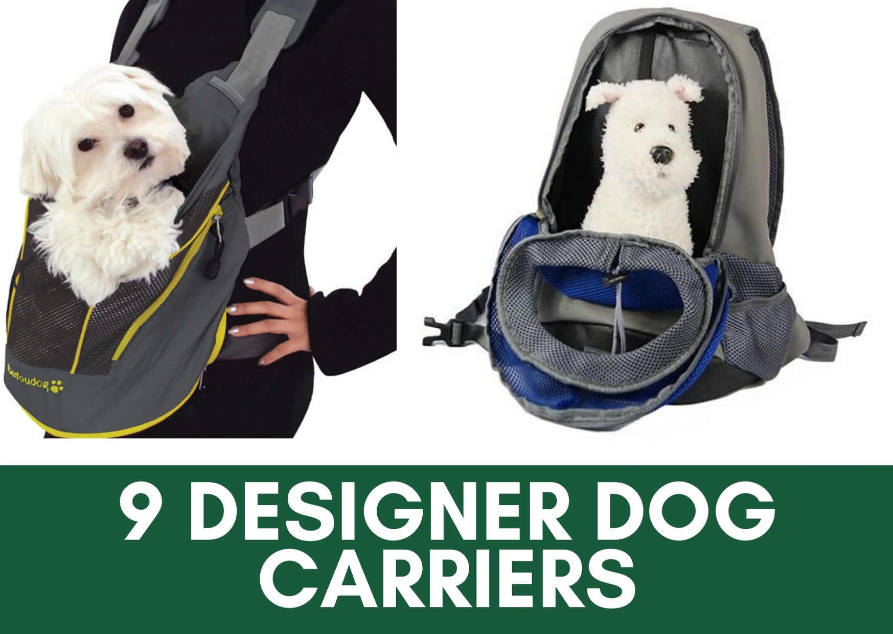 9 Best Designer Dog Carrier Top Rated Reviews And Features