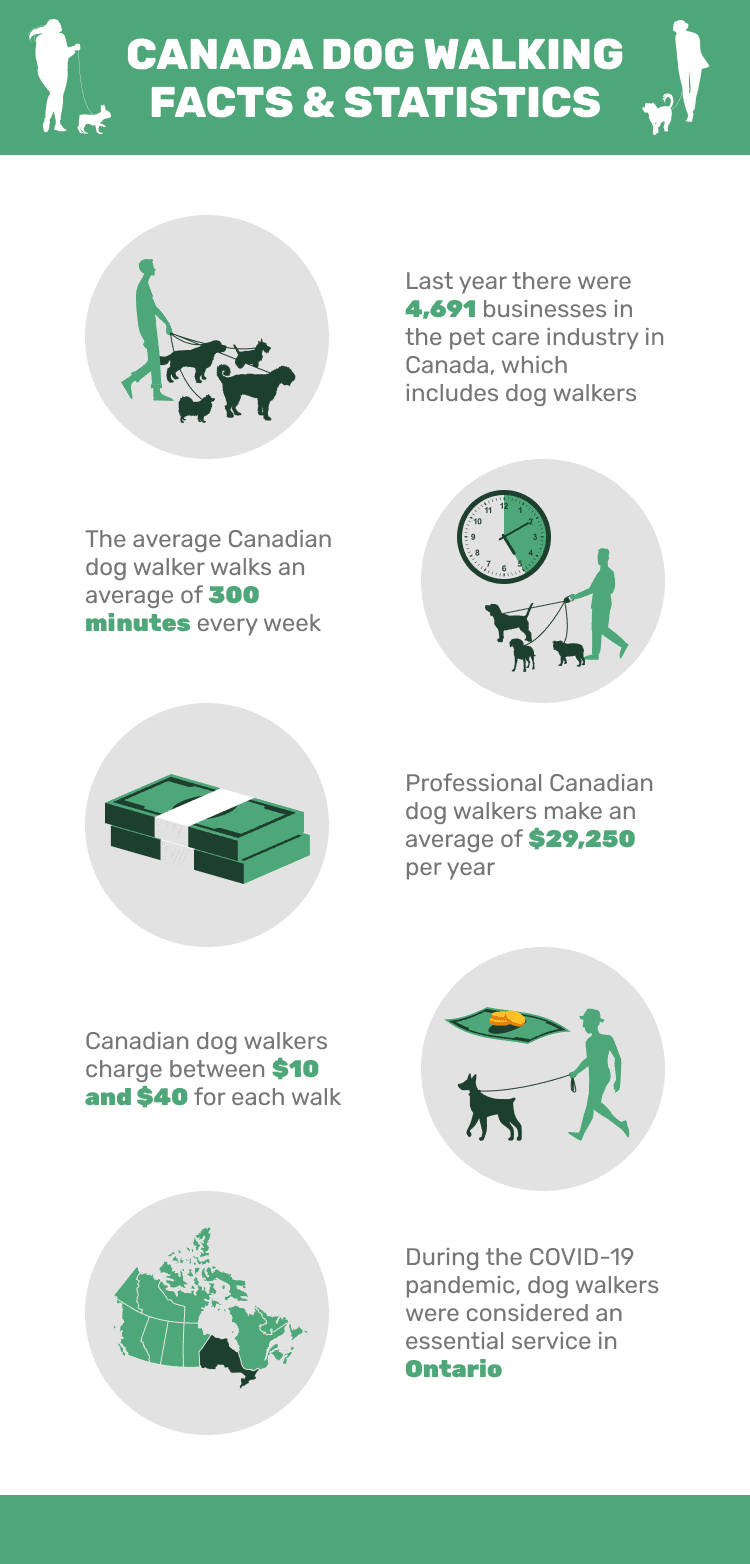 10 Interesting Canada DogWalking Statistics to Know in 2024 Dogster